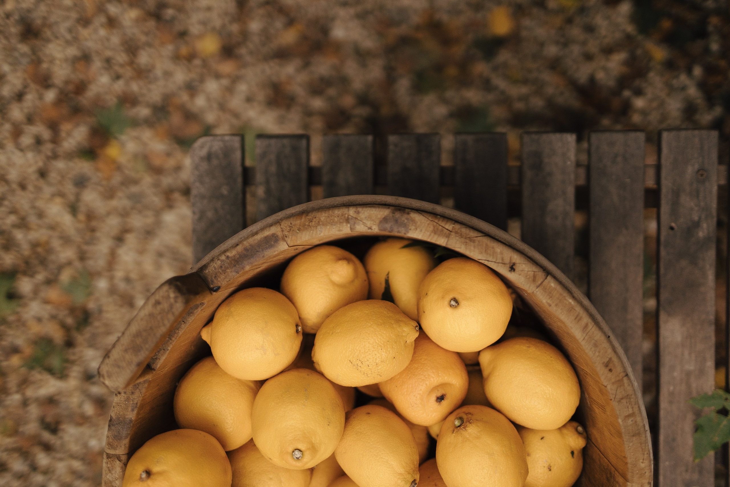 В сердце Тосканы. Свадебный фотограф в Москве | Профессиональный фотограф | Выгодные цены на услуги