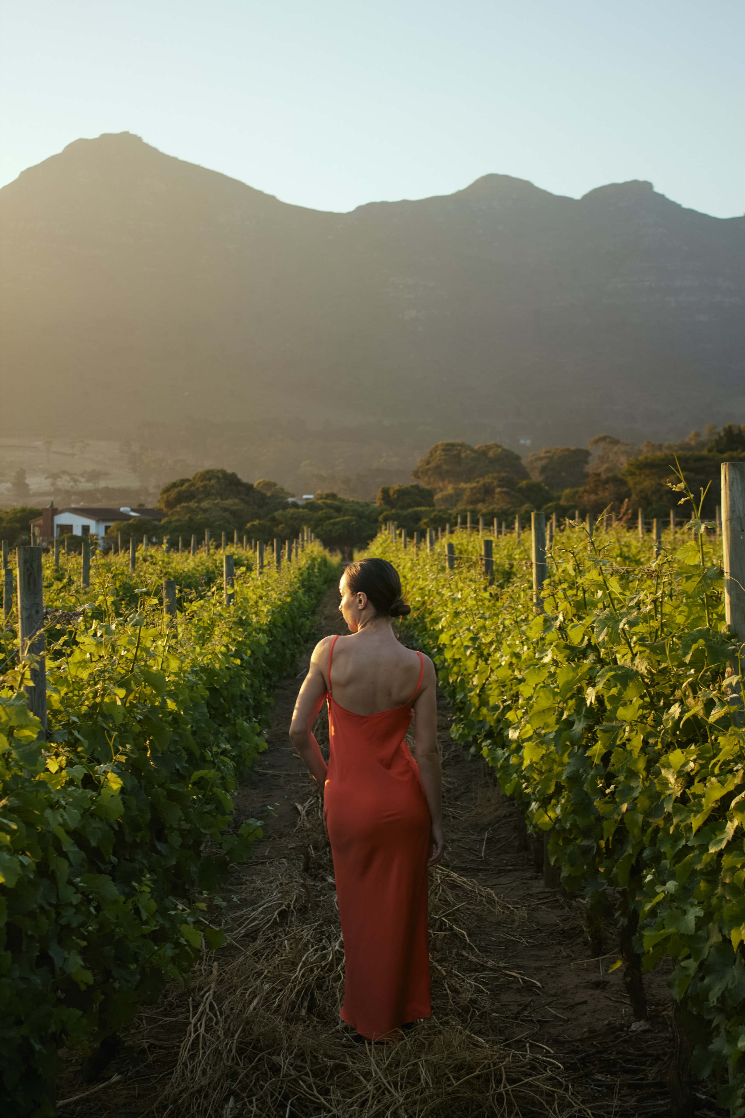 ЮАР. Профессиональный Фотограф во Владимире, в Москве и в Суздале — Полина Романычева