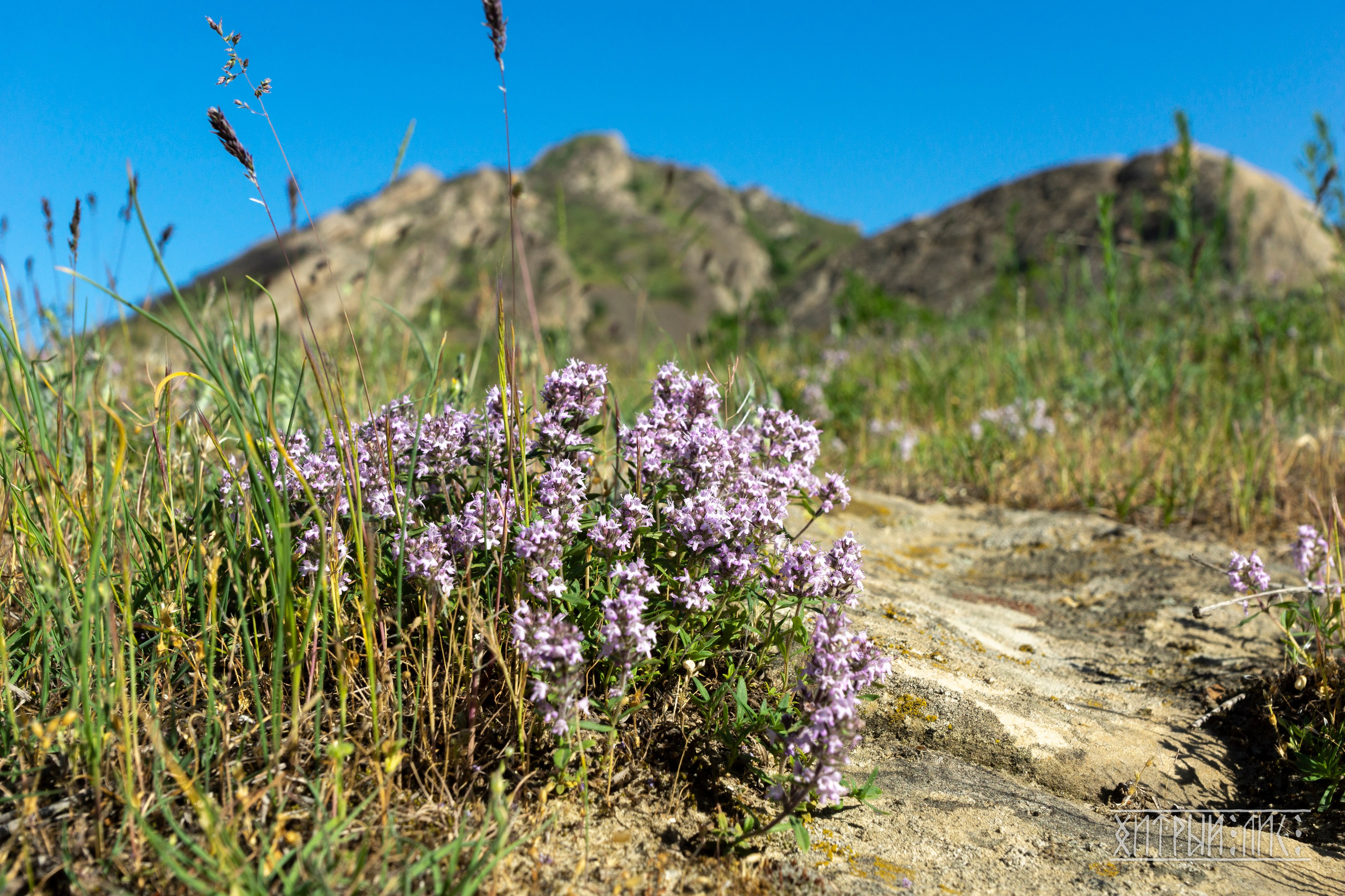 Дагестан. Фотограф-путешественник Самойлов Максим «Sly Fox»