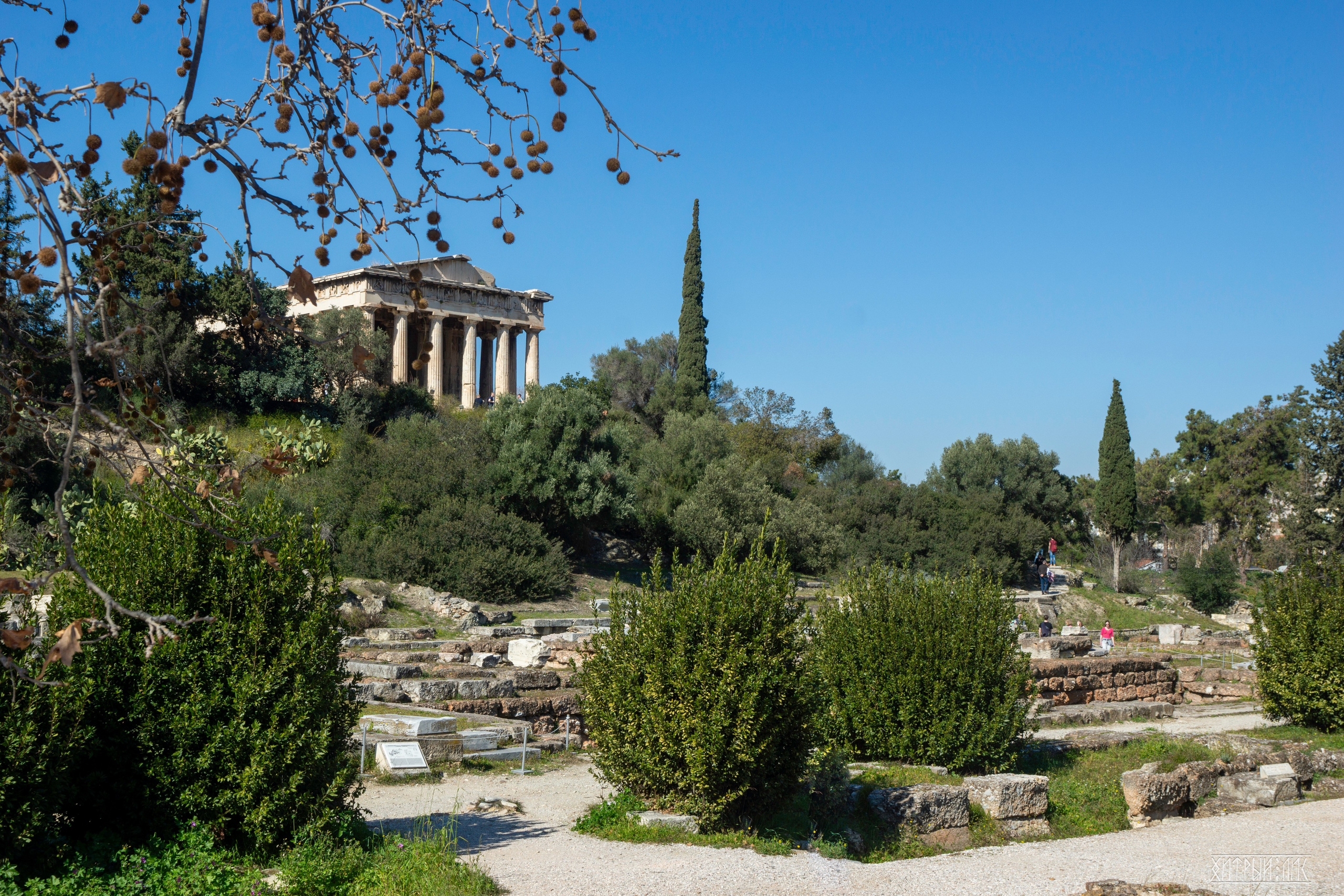 Афины. Фотограф-путешественник Самойлов Максим «Sly Fox»