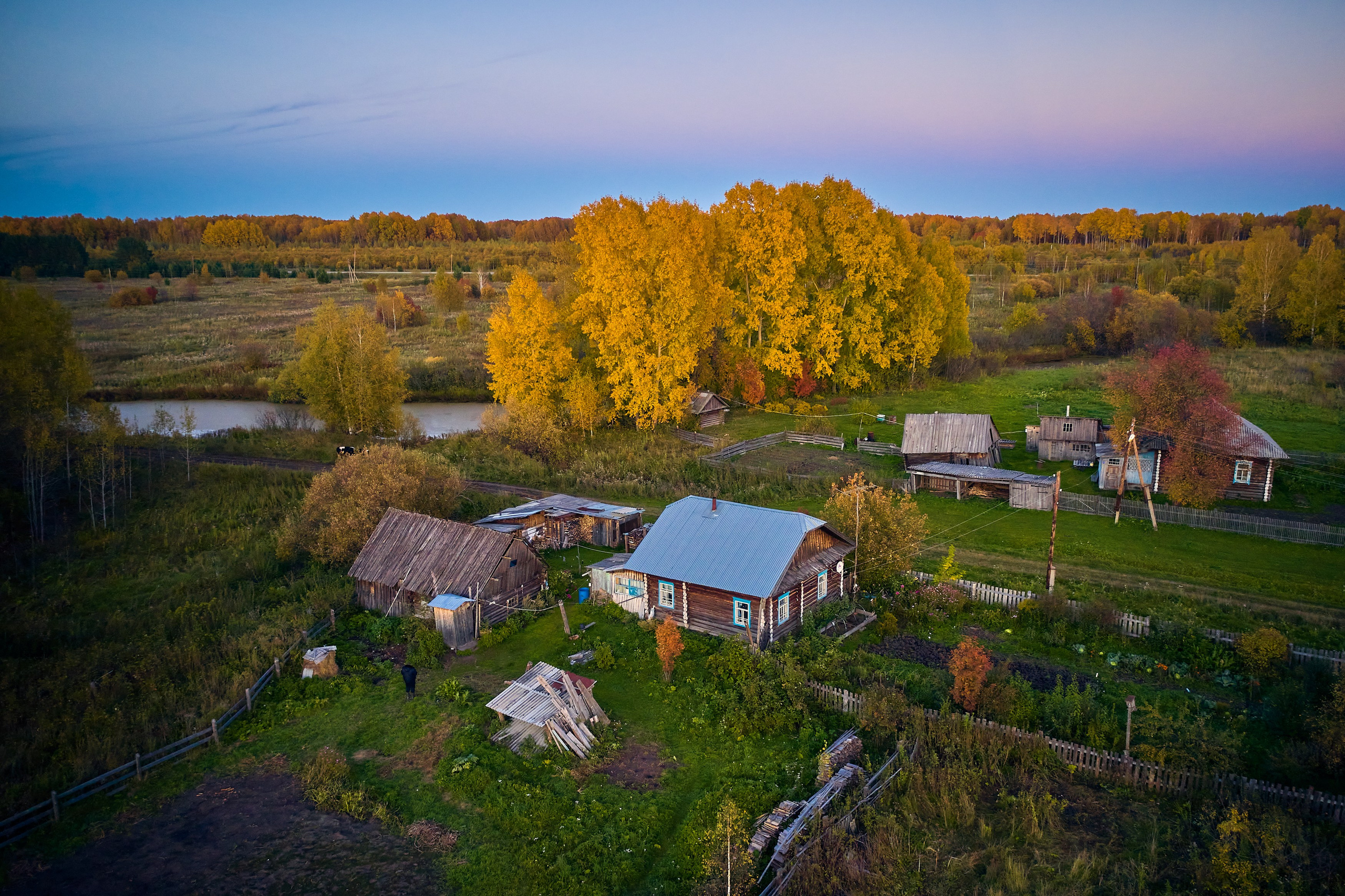 Фото с птичьего полета. DMITRY MOISEENKO — фотограф, художник, топ-стилист