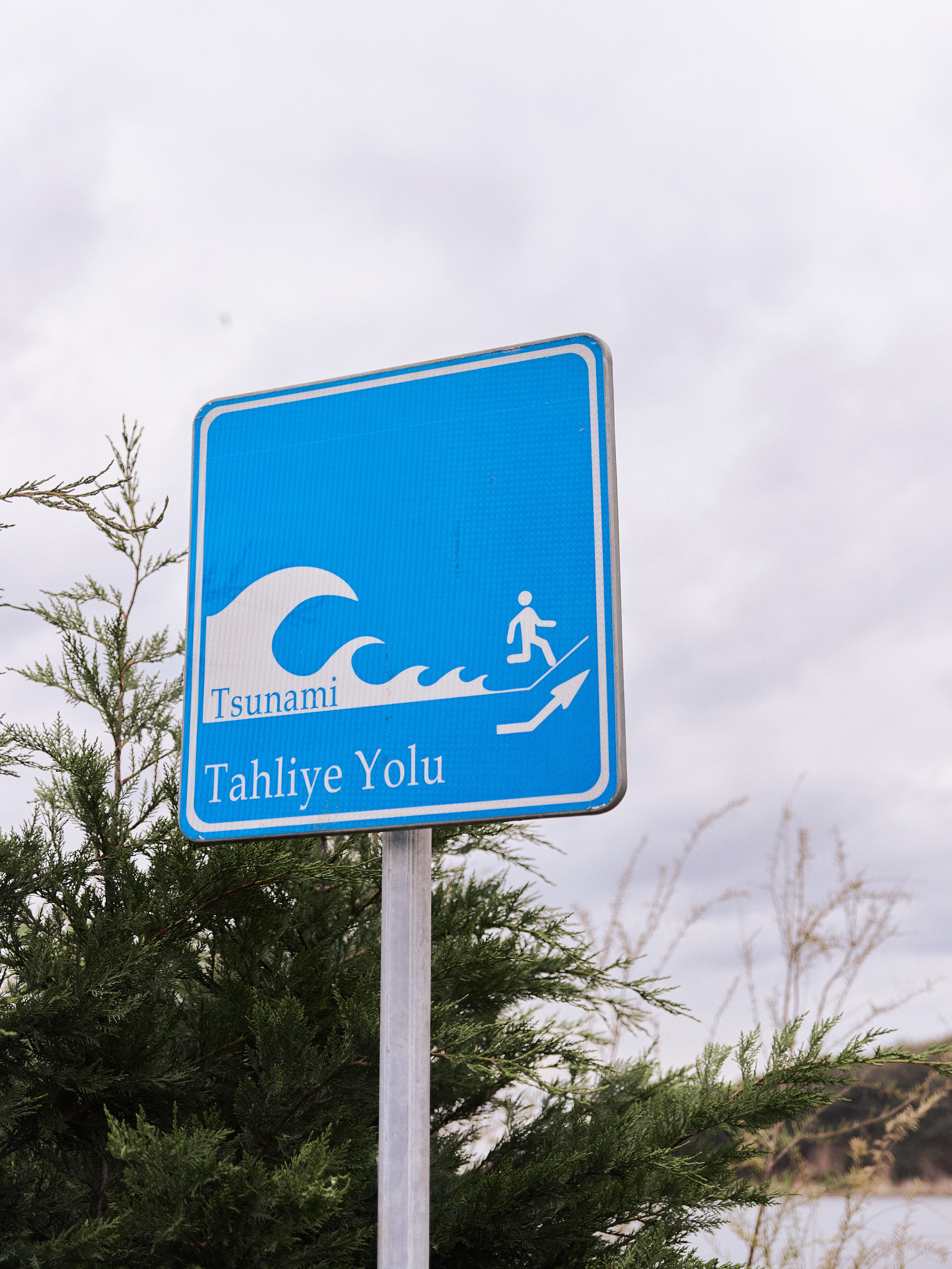 Природа сквозь. Jorgis Talè — photographer, kind person, teacher of arts and other mag