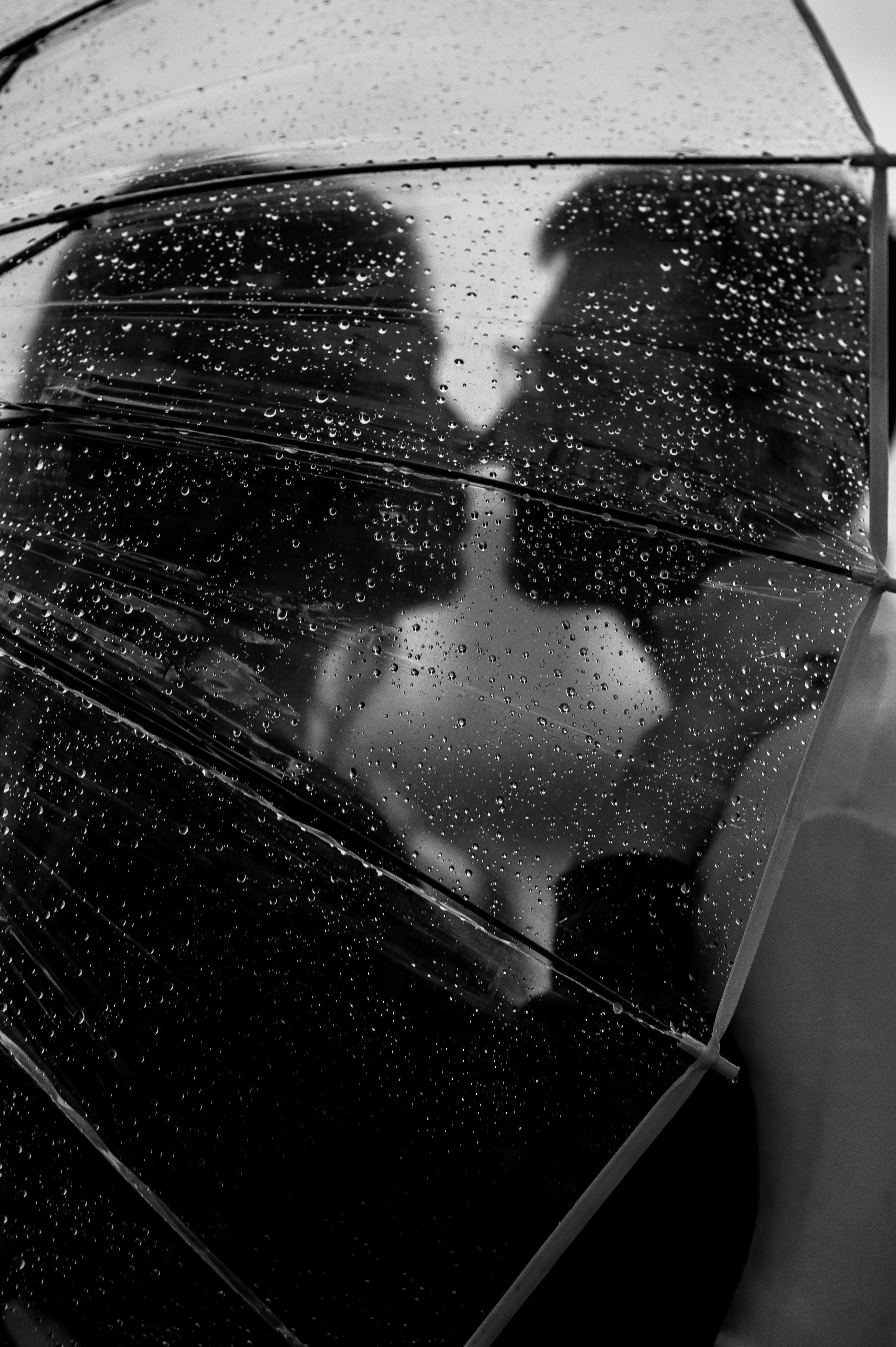 Фотосъемка беременности в Санкт-Петербурге. Семейный и свадебный фотограф в Санкт-Петербурге Серафима Смирнова