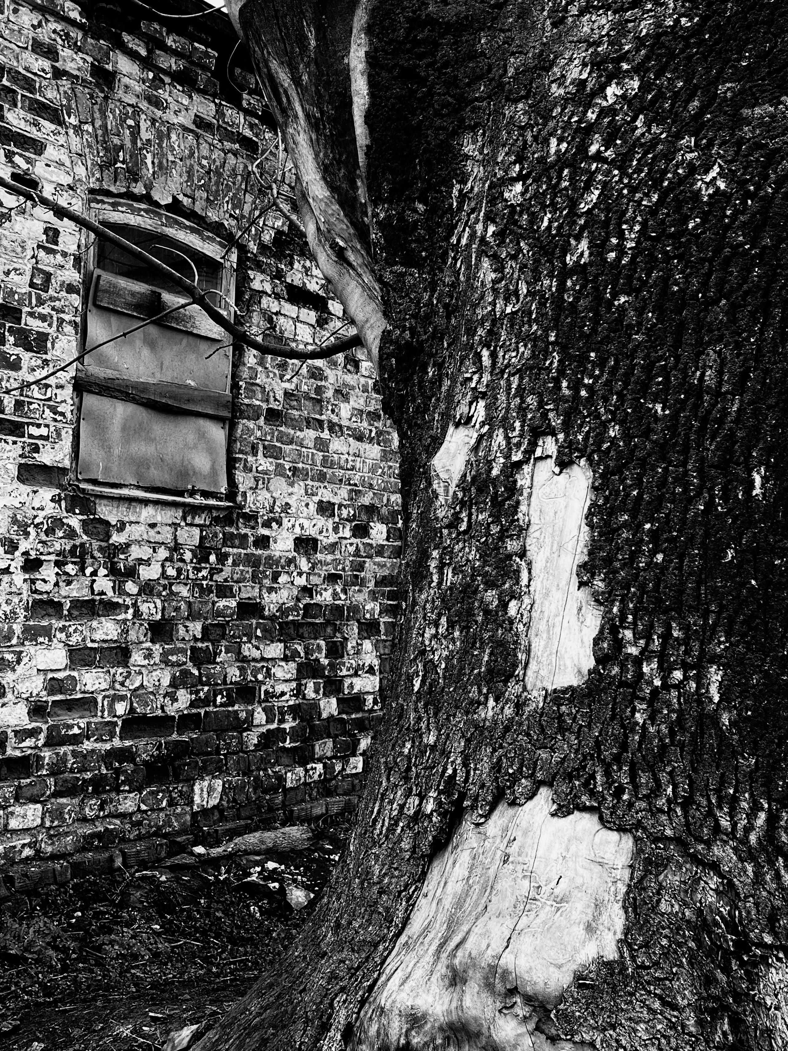 Рязань, 2025. Портретный фотограф в Москве Евгения Яковенко