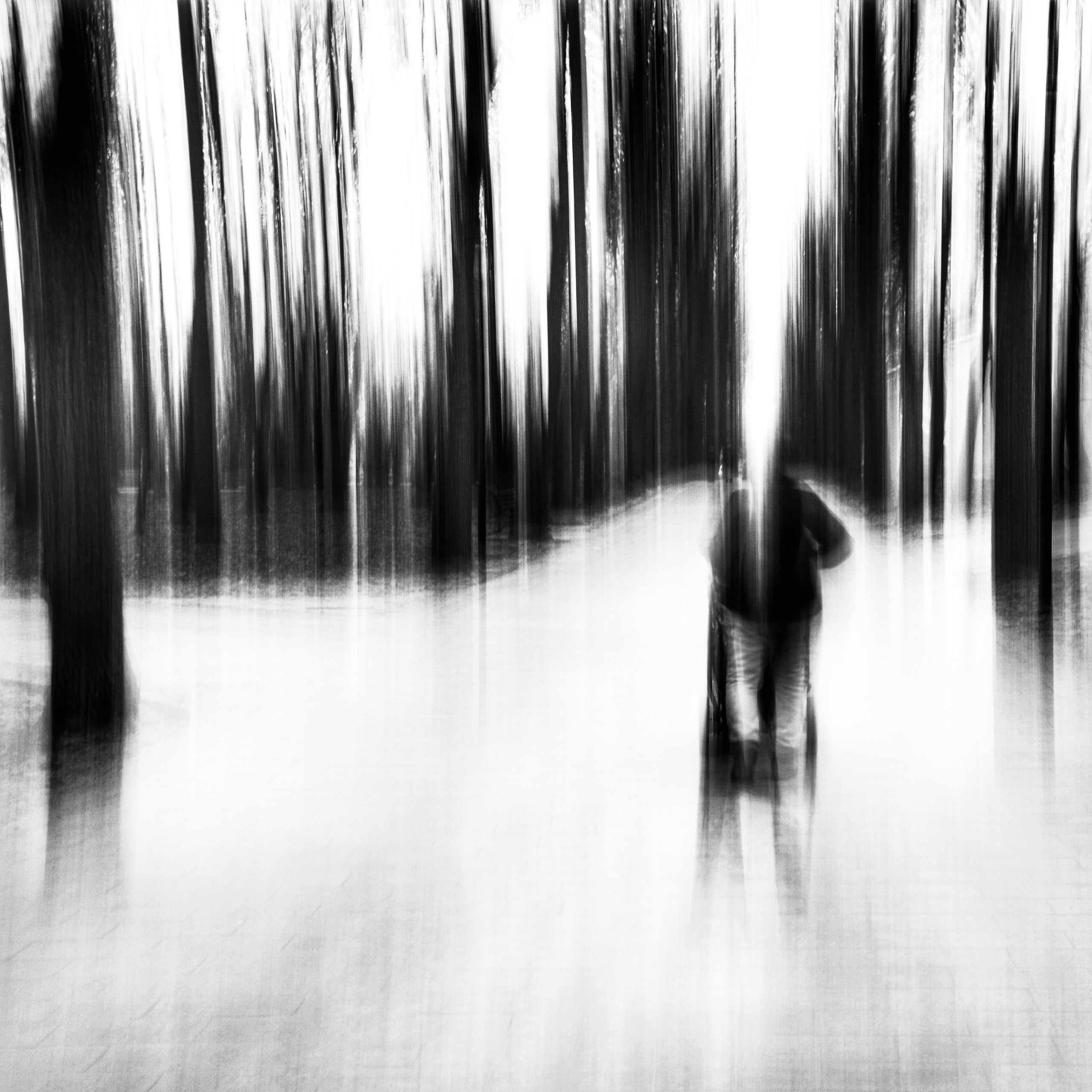 Primavera. Metagraphy