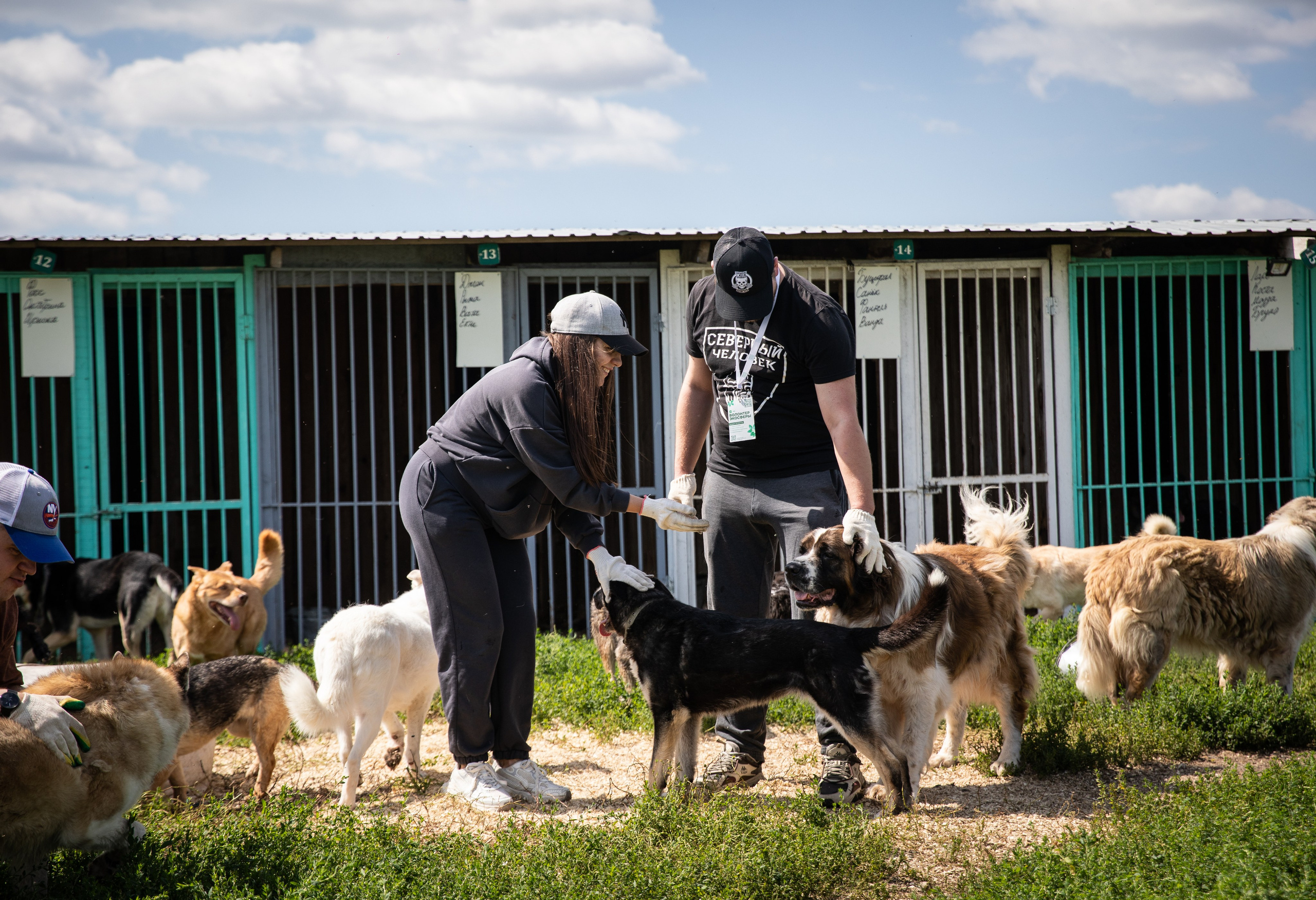 Приют — Наш дом. Репортажный и свадебный фотограф в Челябинске Елисеев Павел