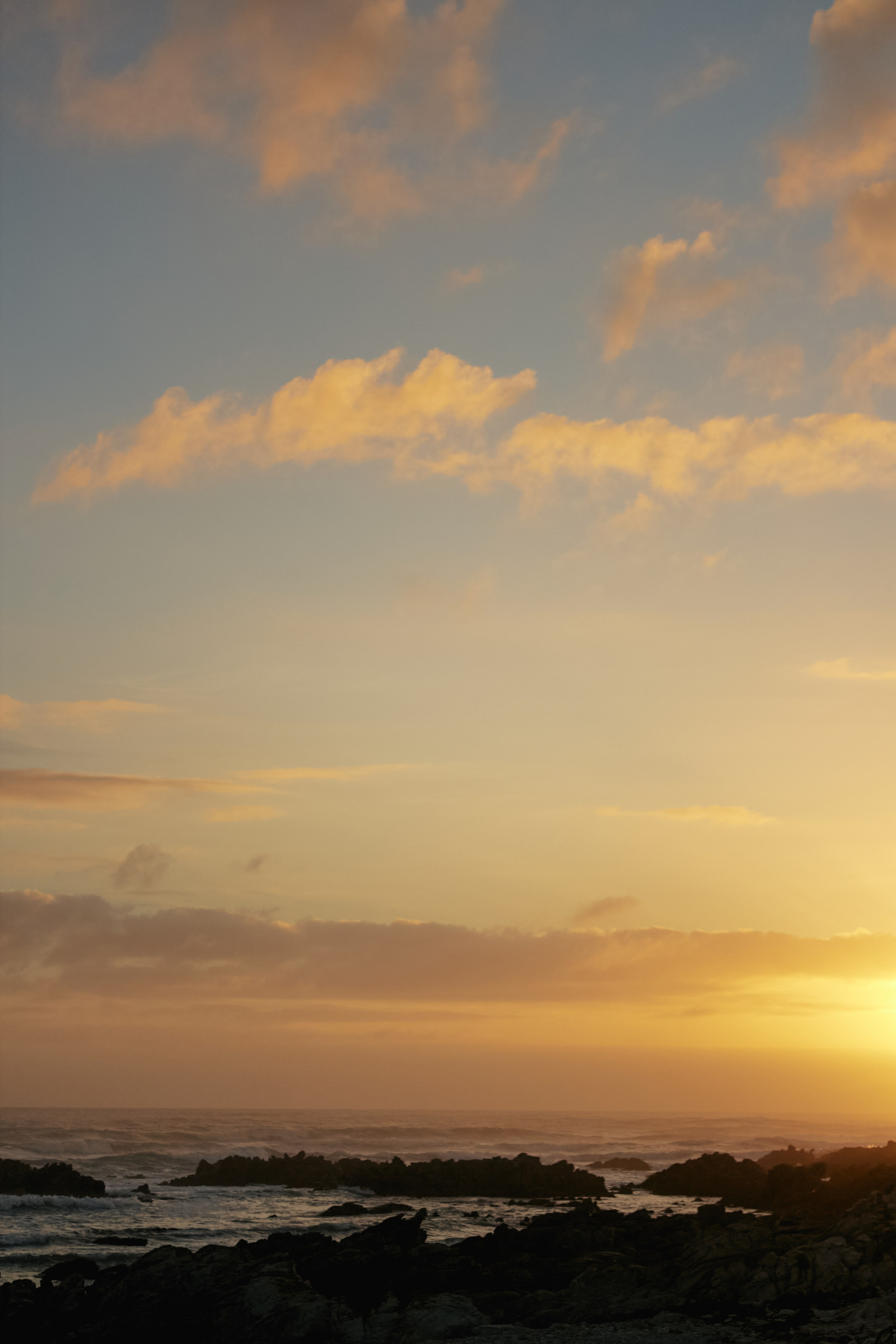 ЮАР. Профессиональный Фотограф во Владимире, в Москве и в Суздале — Полина Романычева