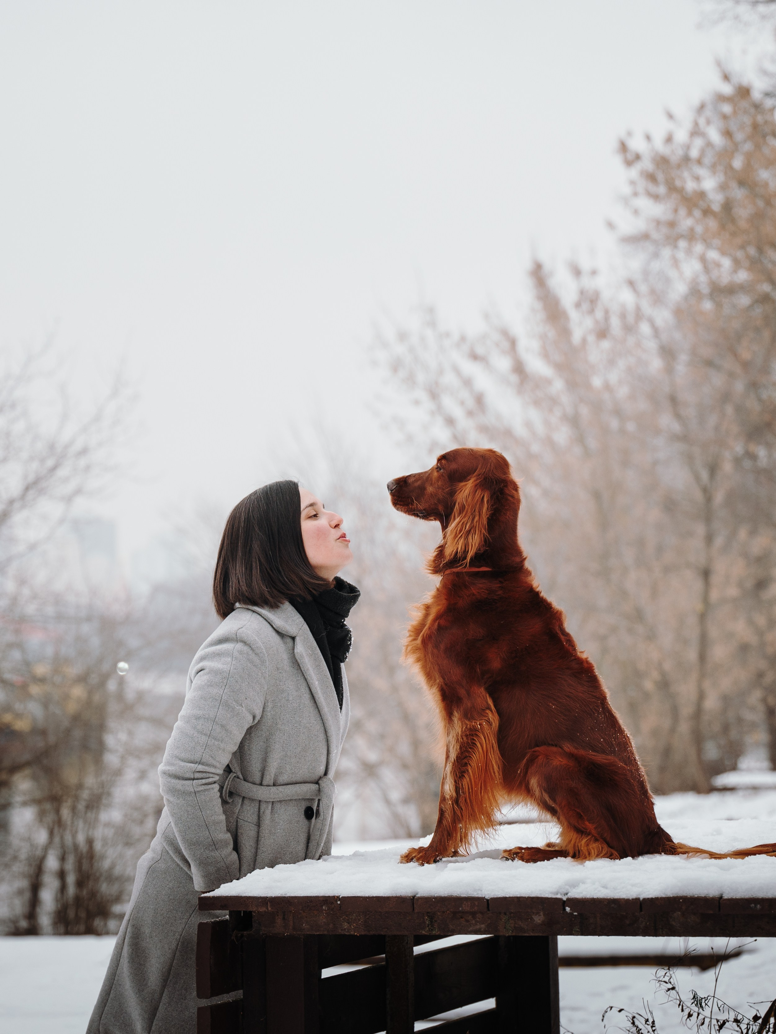 Маша и Лика. Семейный фотограф анималист Ананьева Мария — Москва