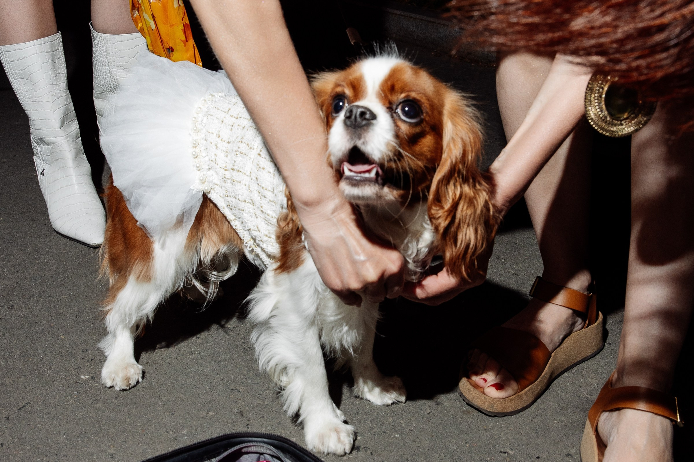 Алина на ВДНХ. Александр Ченченко ака Саша Че. Свадебный, репортажный и портретный фотограф. Москва. Россия. Весь мир