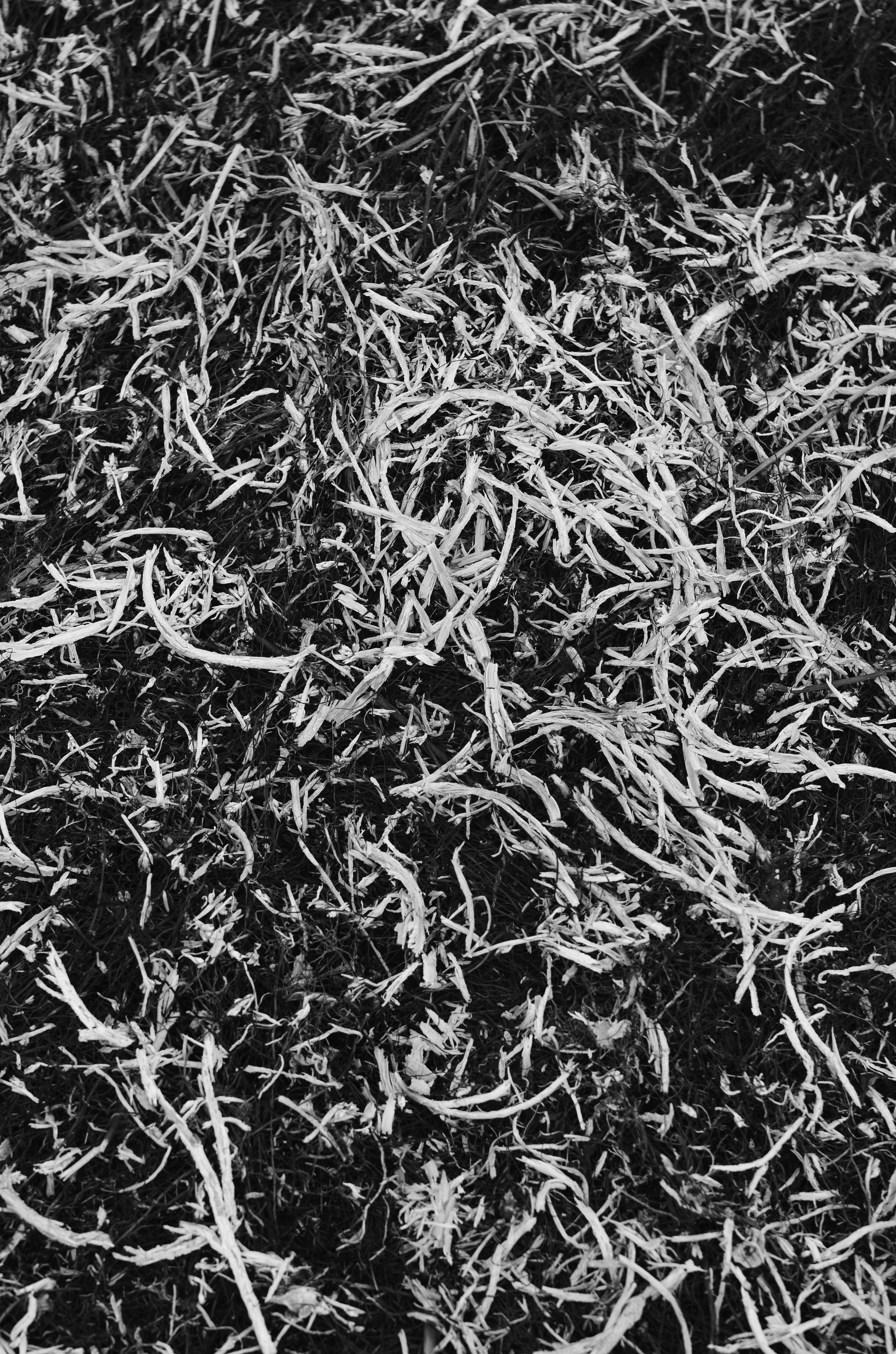 Пожары. Анна Хвалина