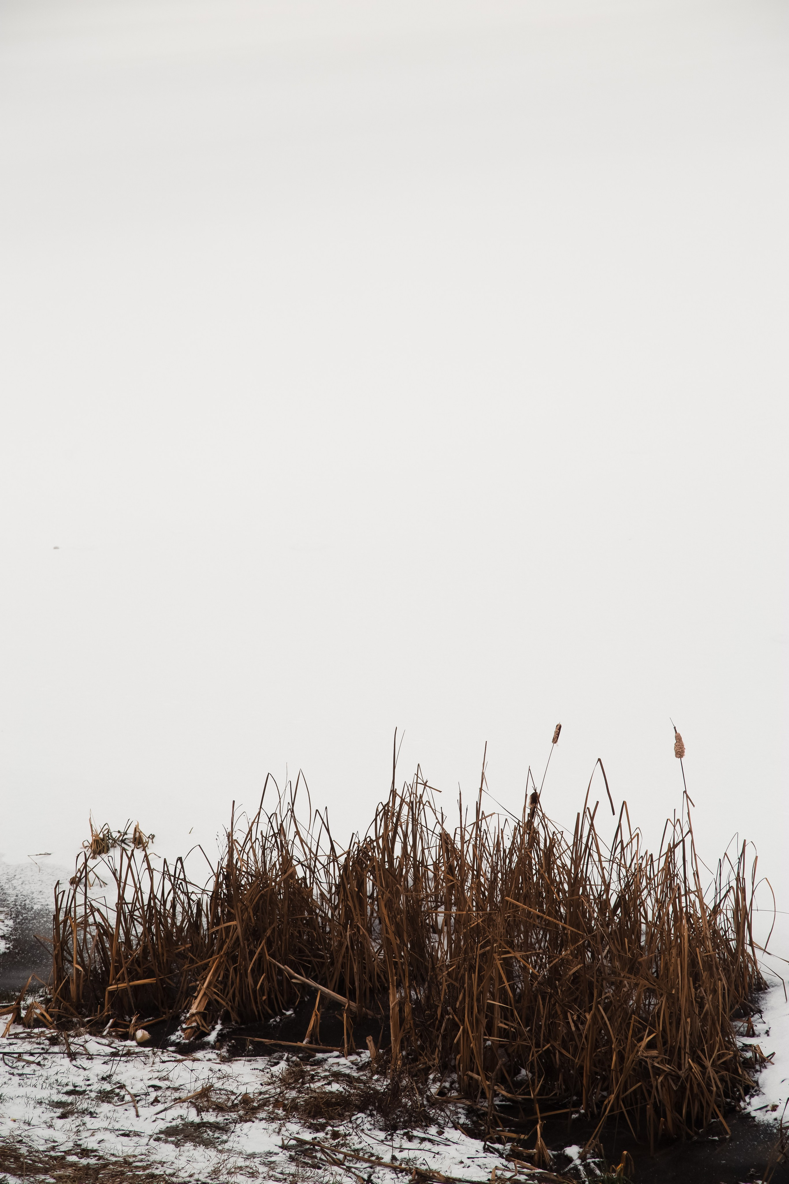 Осенняя зима. Dmitriy [KCCC] is a pretty cool photographer