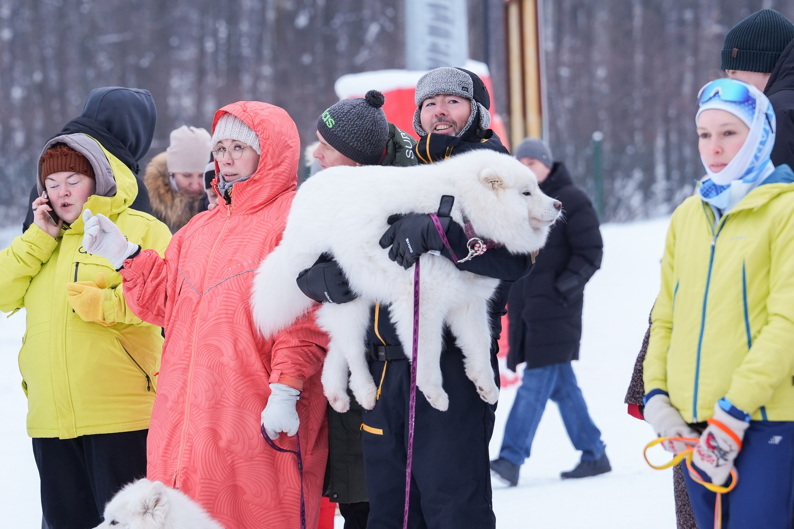 Рождественские гонки на собаках. Т/б «Чайка». Семейный фотограф Владимир Просвиркин. г. Самара
