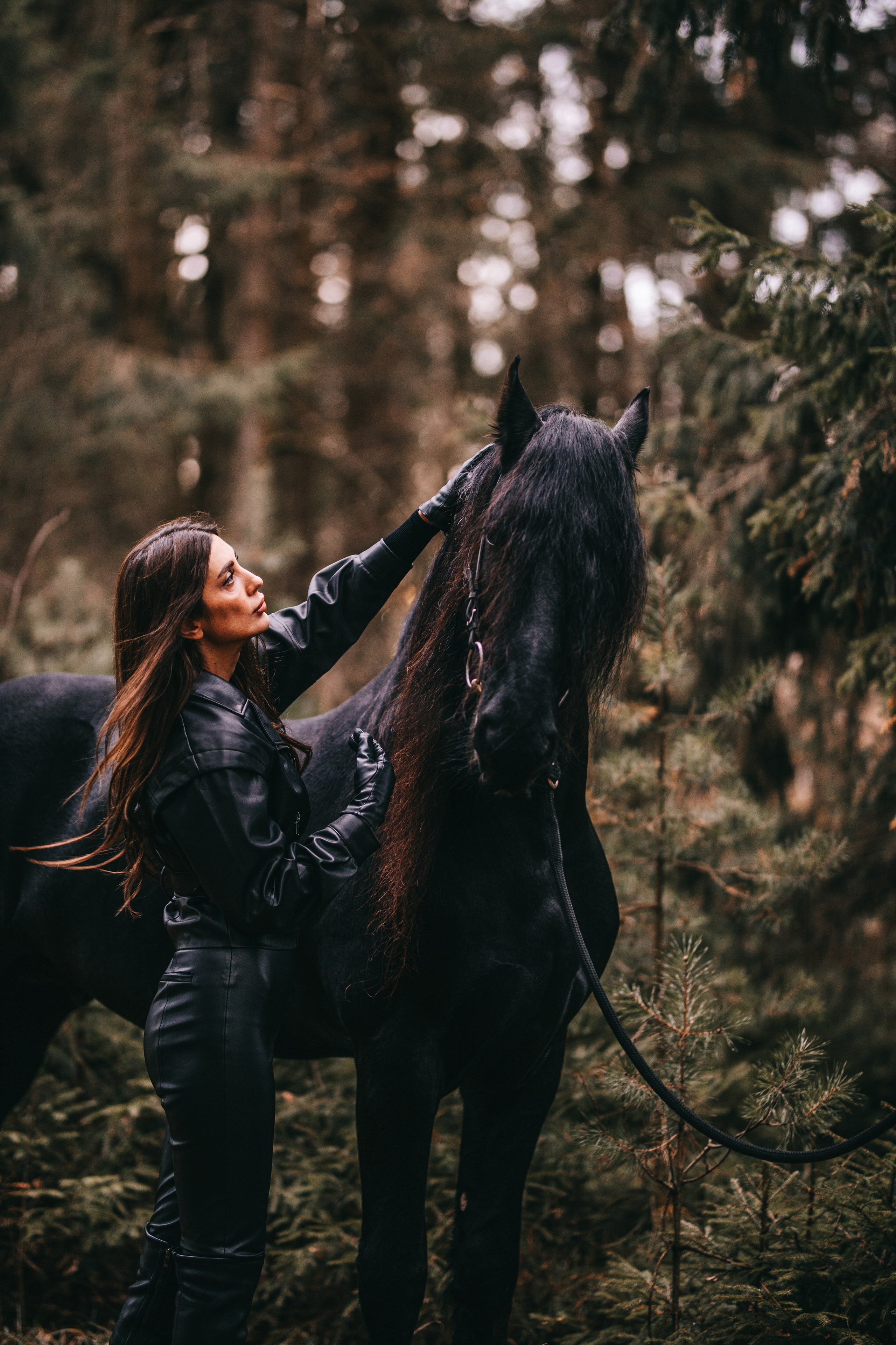 Фотосессия с лошадьми в Москве. Фотосессии с лошадьми