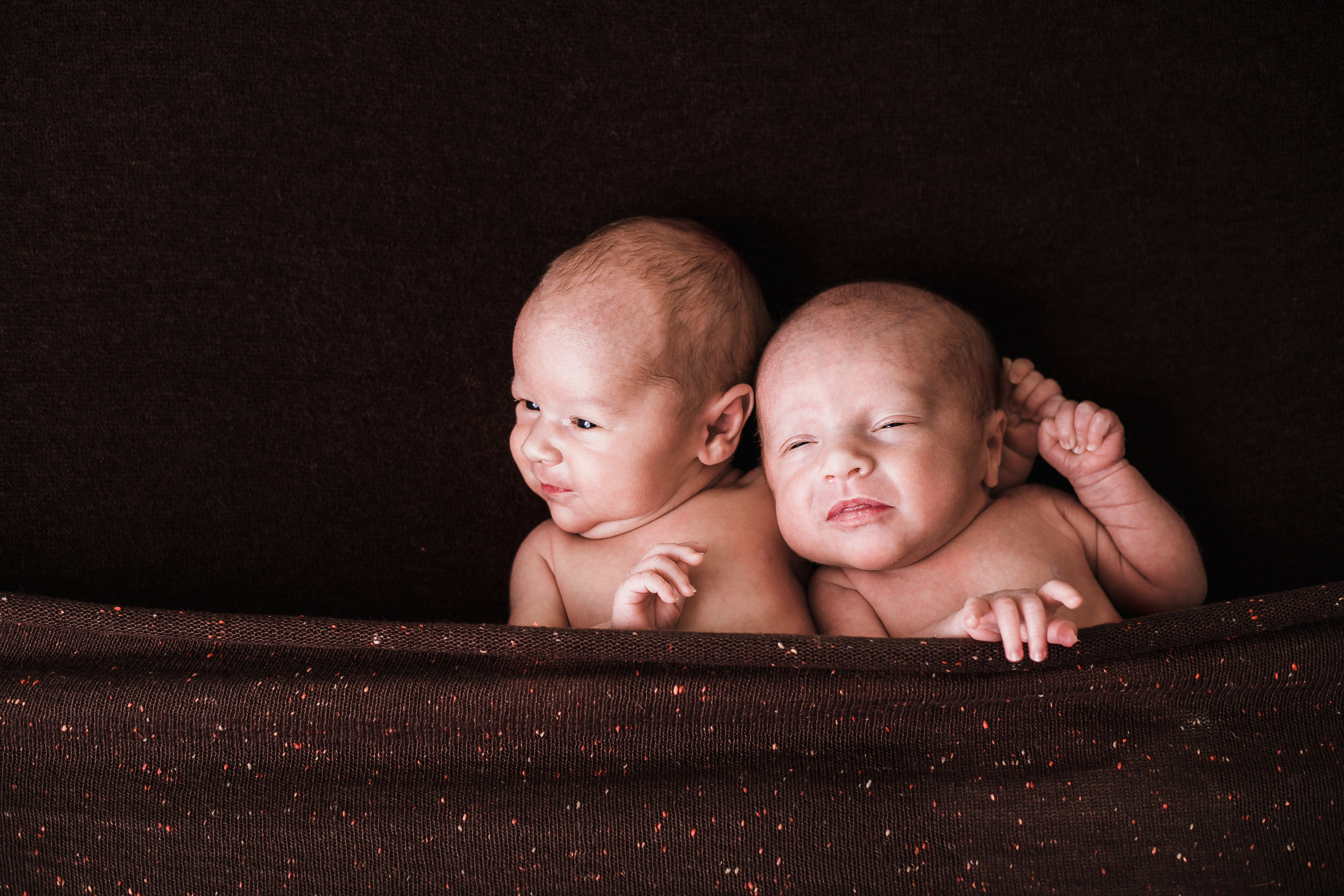 Таисия и Есения, пакет «Стандарт», 21 день. Фотограф новорождённых Екатерина Боброва. Ульяновск