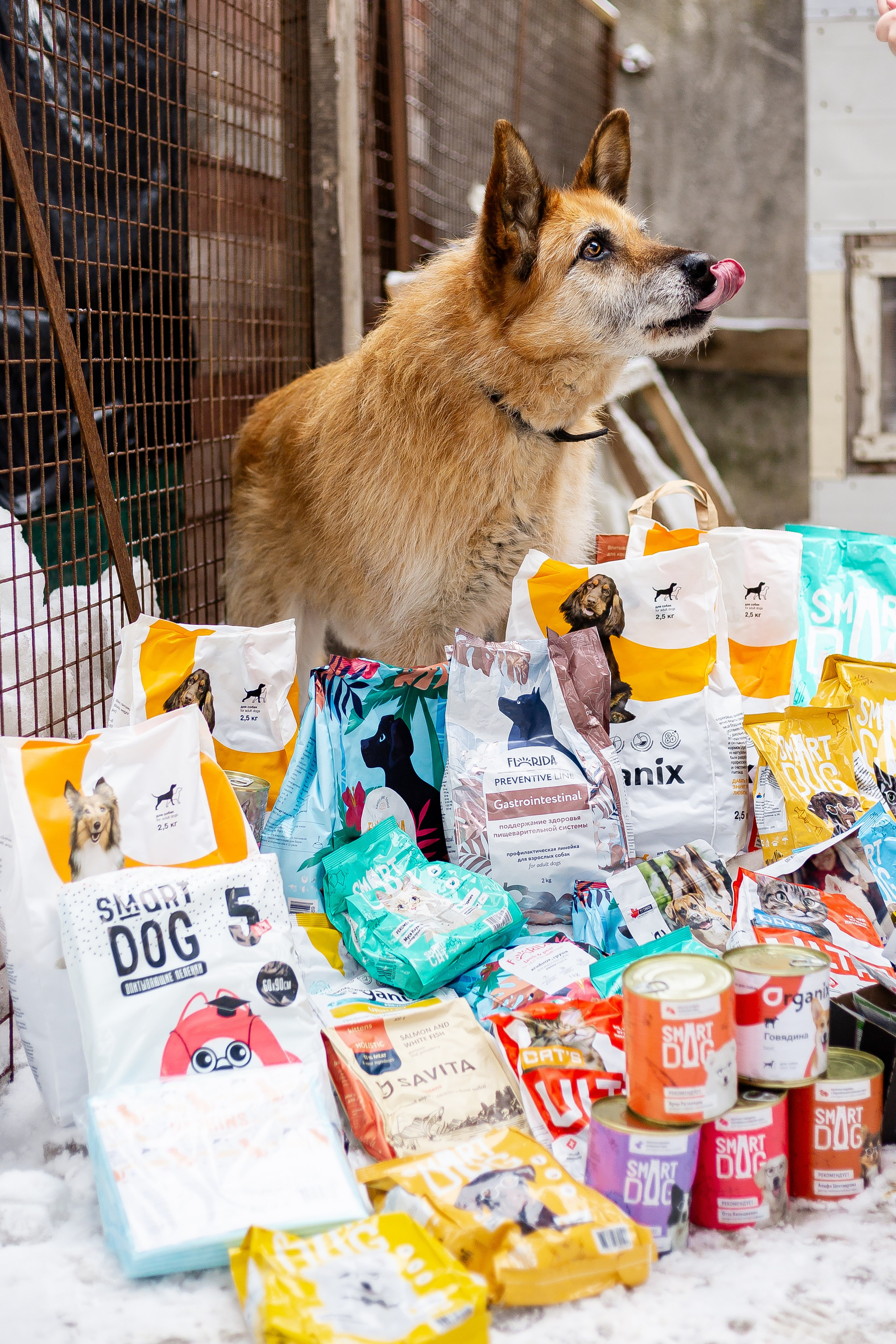 Petshop Забота. Фотограф в Санкт-Петербурге Чумаков Семен