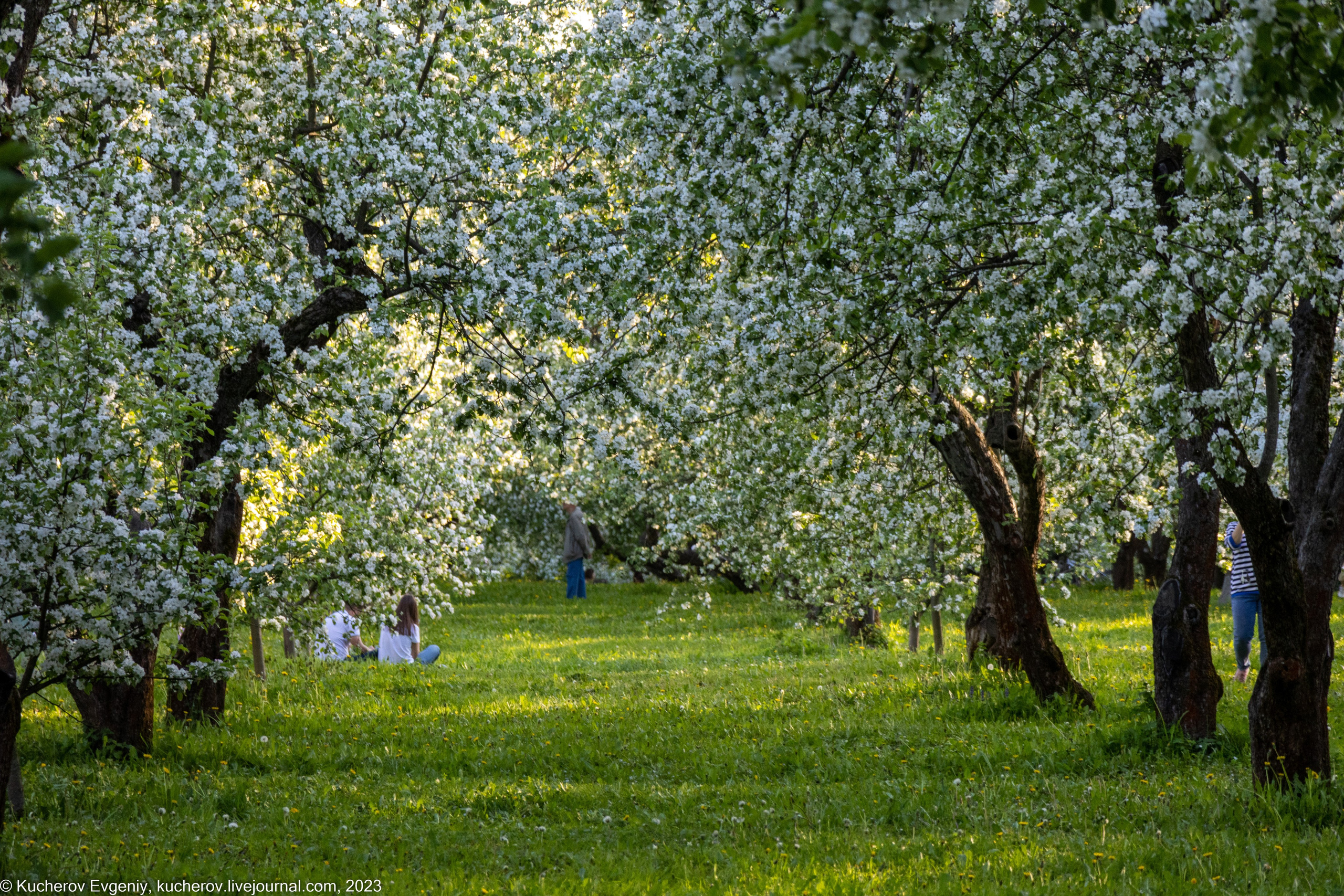 Природа. Кучеров Евгений. Фотограф
