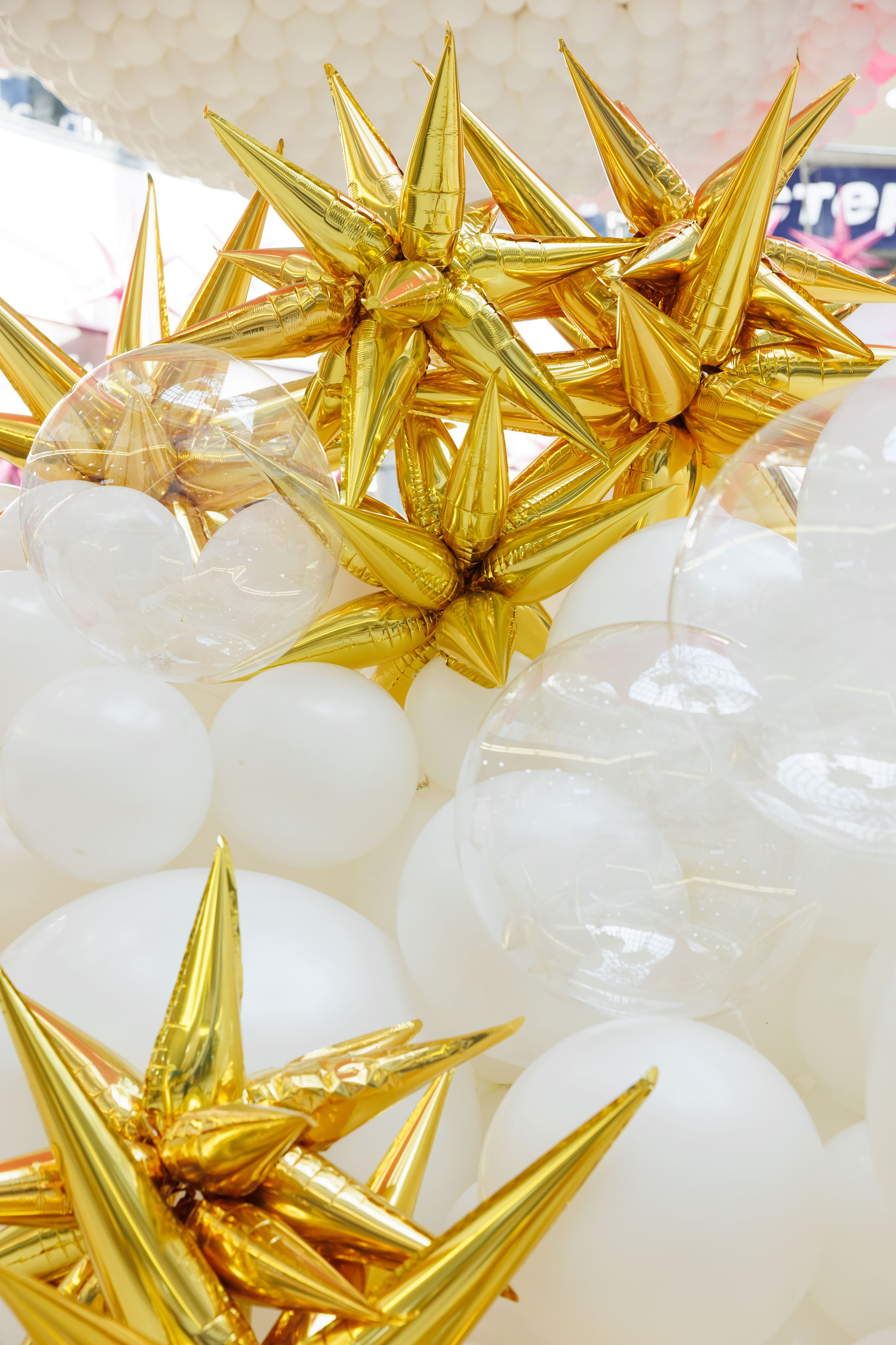 Умная весна 2025. Фотограф Новосибирск — Наталья Гресь