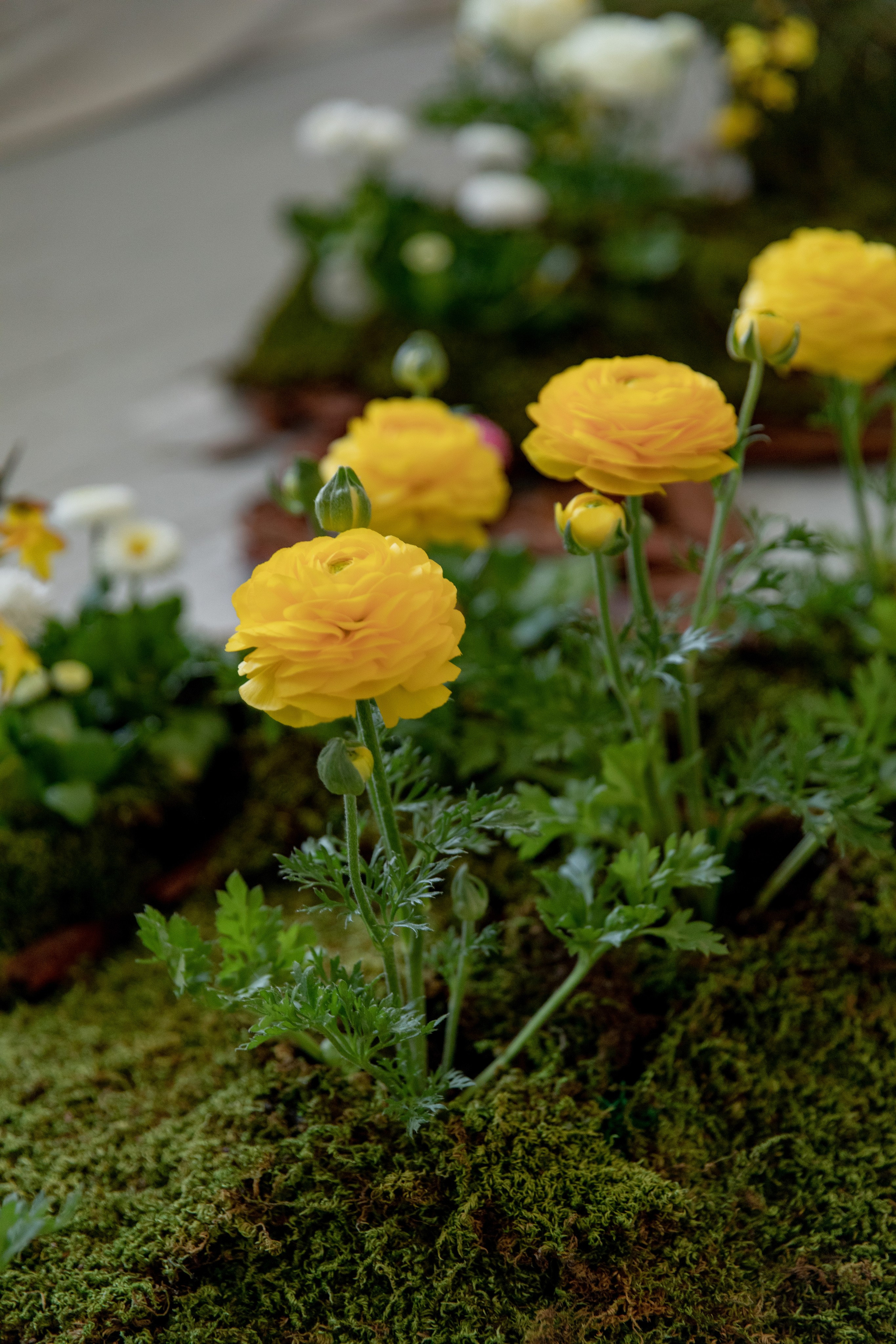 SPRING INSPIRATION. СВАДЕБНЫЙ ФОТОГРАФ В КРЫМУ И СЕВАСТОПОЛЕ