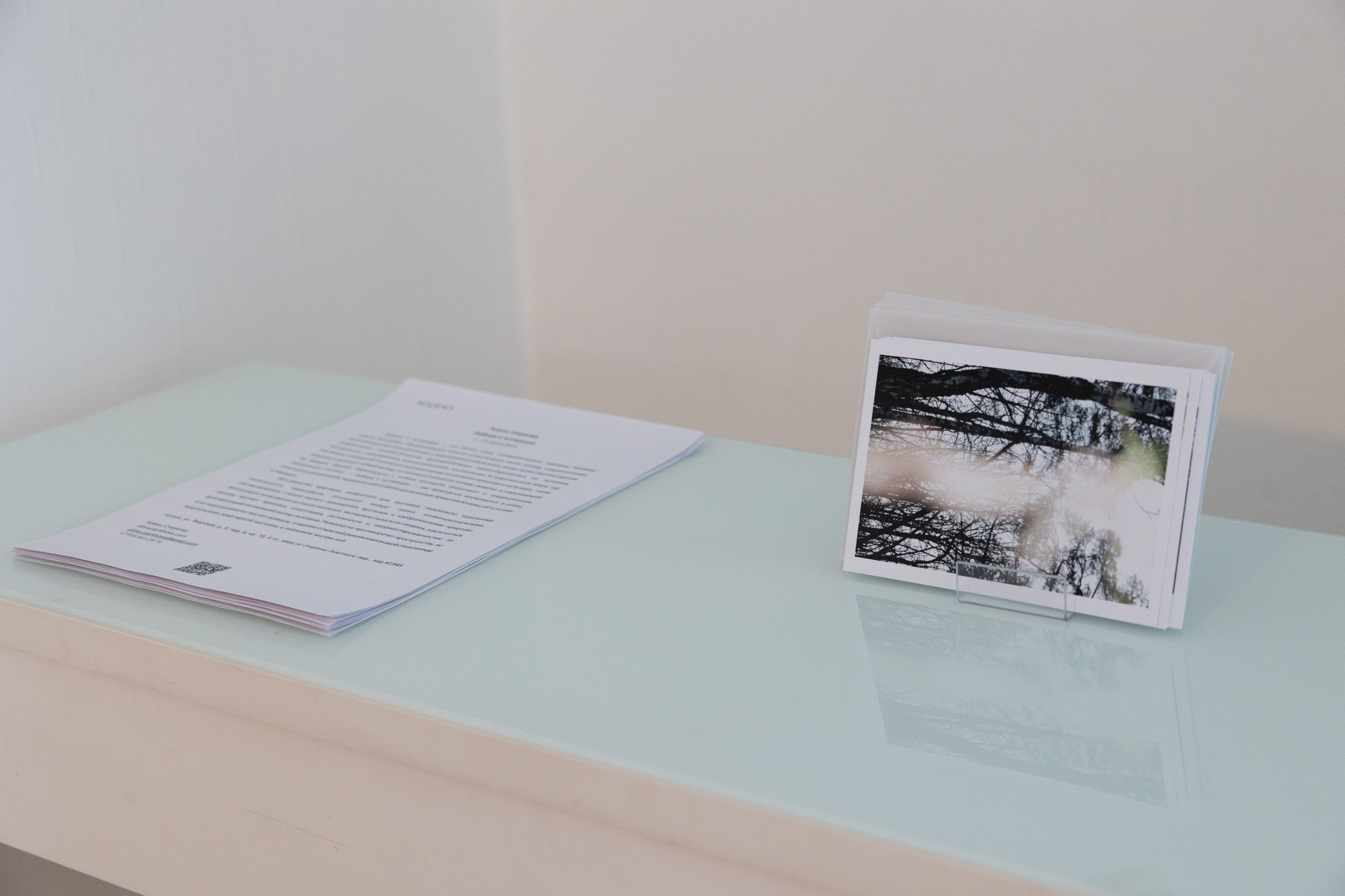 Personal exhibition Interior landscape 2025. Фотограф алина стерхова, алина стерхова фотограф, фотограф москва