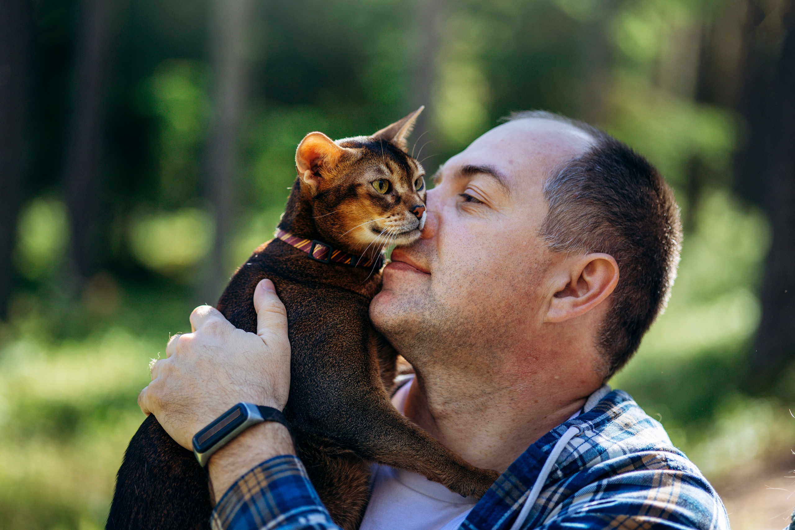 Котофеи и их семья. Фотограф — Анималист | Санкт-Петербург