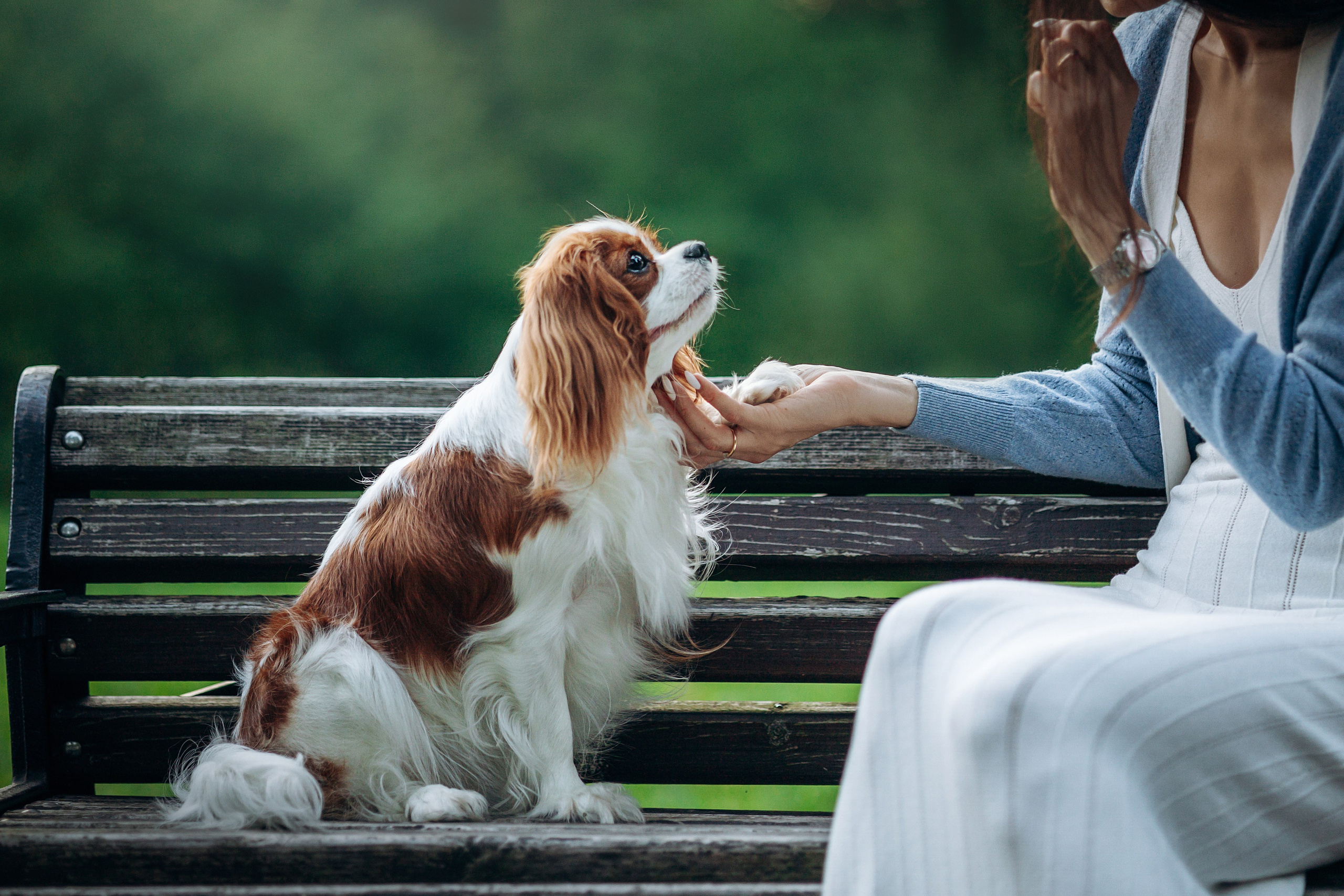 Юлия и Мия. Фотограф — Анималист | Санкт-Петербург