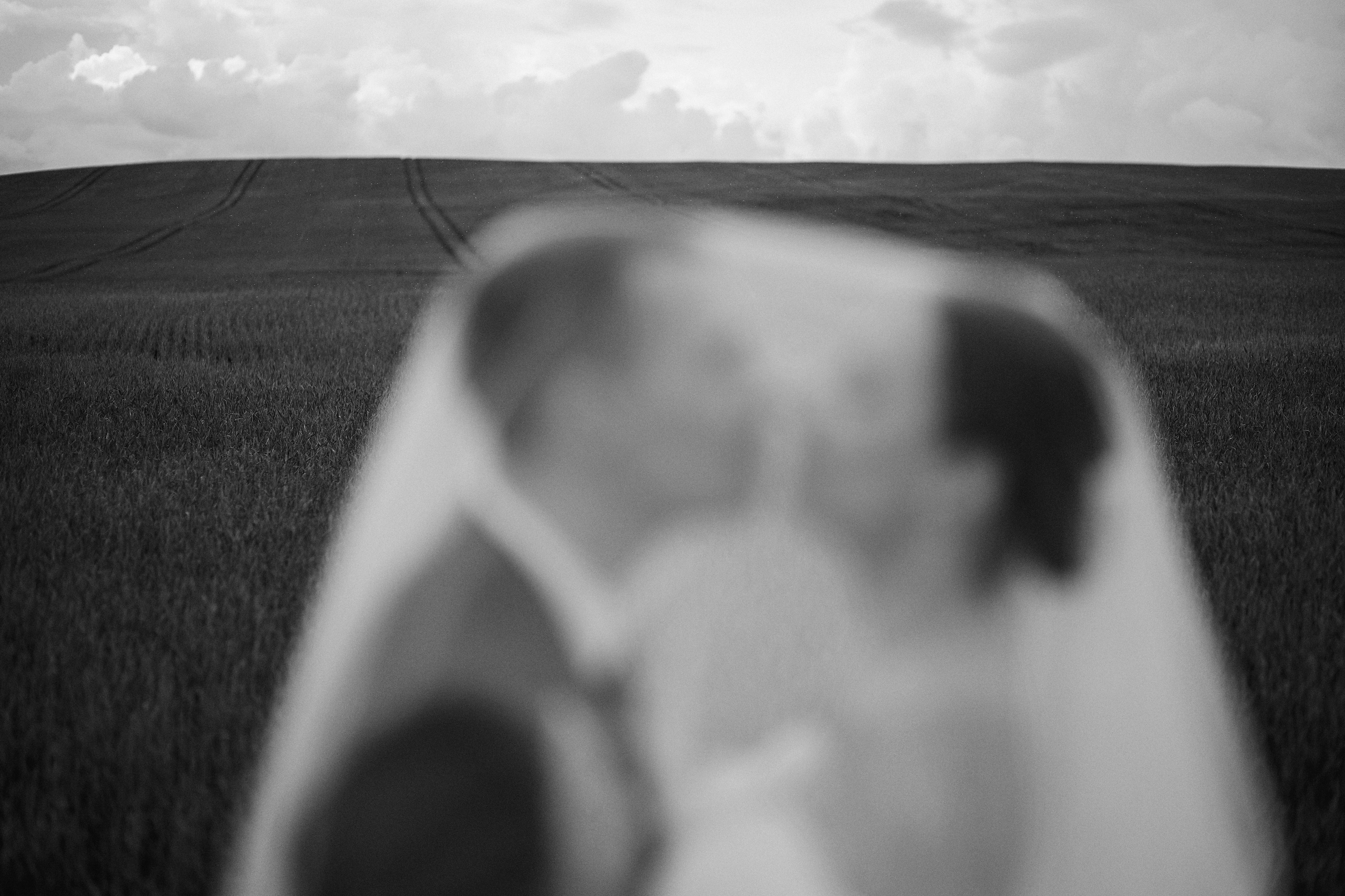 Егор и Лаура. Свадебный фотограф Чайковский