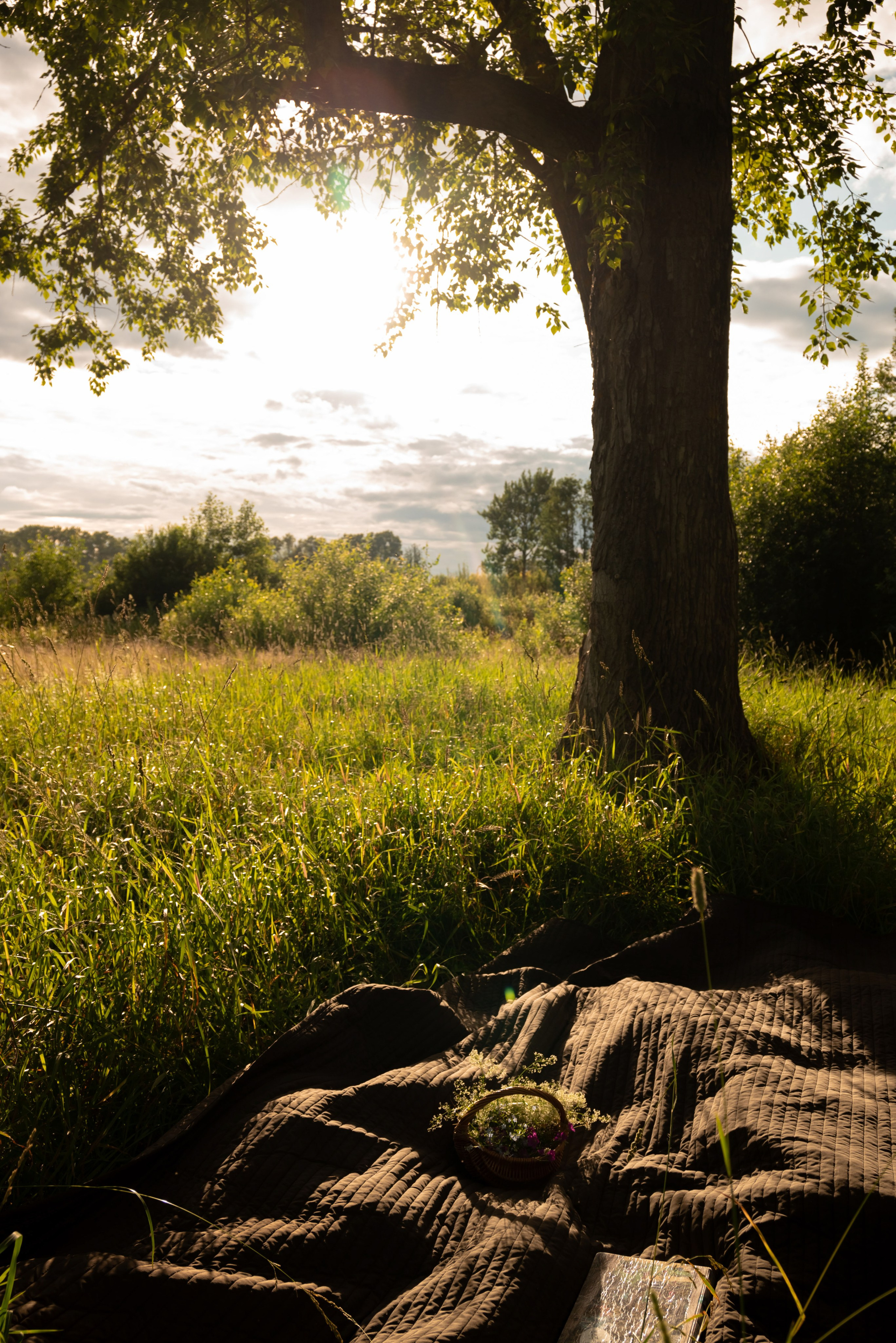 Семейная фотосессия на природе. Профессиональный фотограф в Твери Иванова Юлия