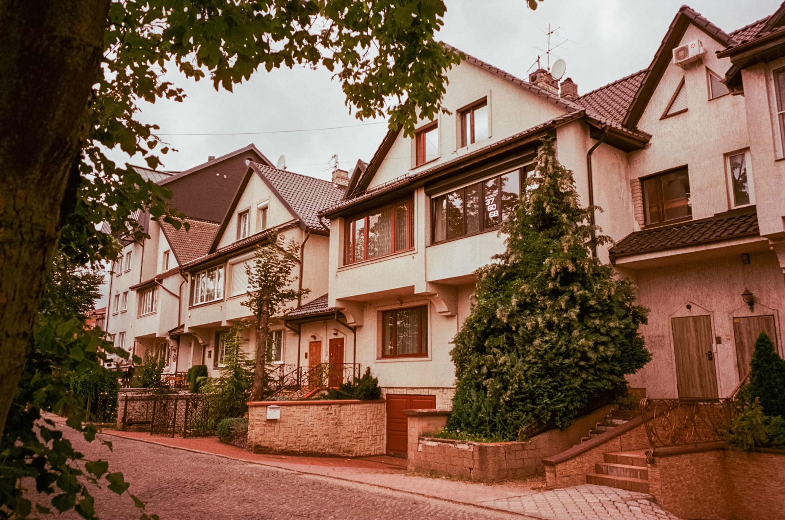 Калининград. Верхнее озеро, Safe Coffee и кафе Толстой. Фотограф-документалист Мария Осокина