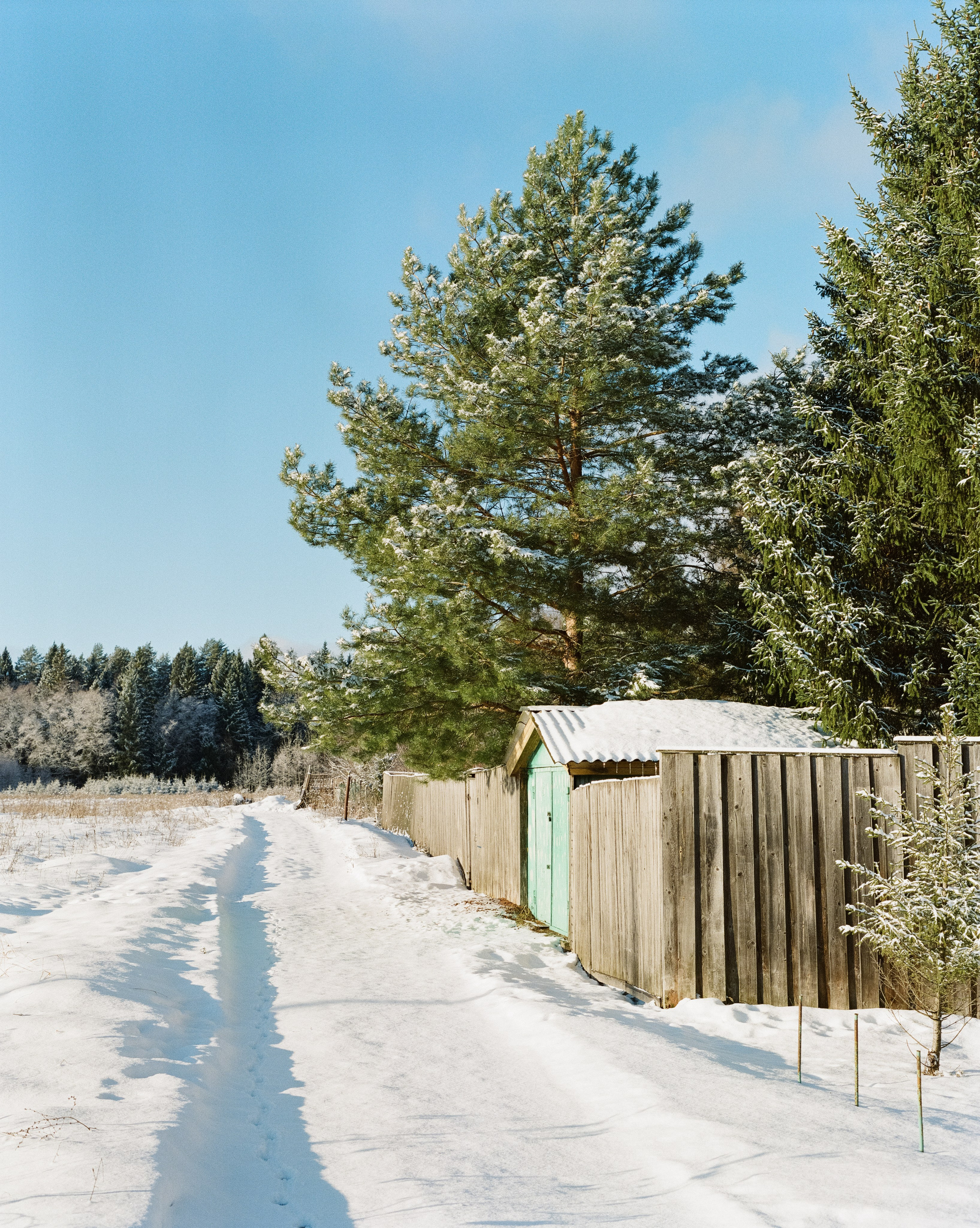Pentax 67 — SMC Pentax 67 105 mm f/2.4 / Kodak Portra 800 / 3 января Лукино
