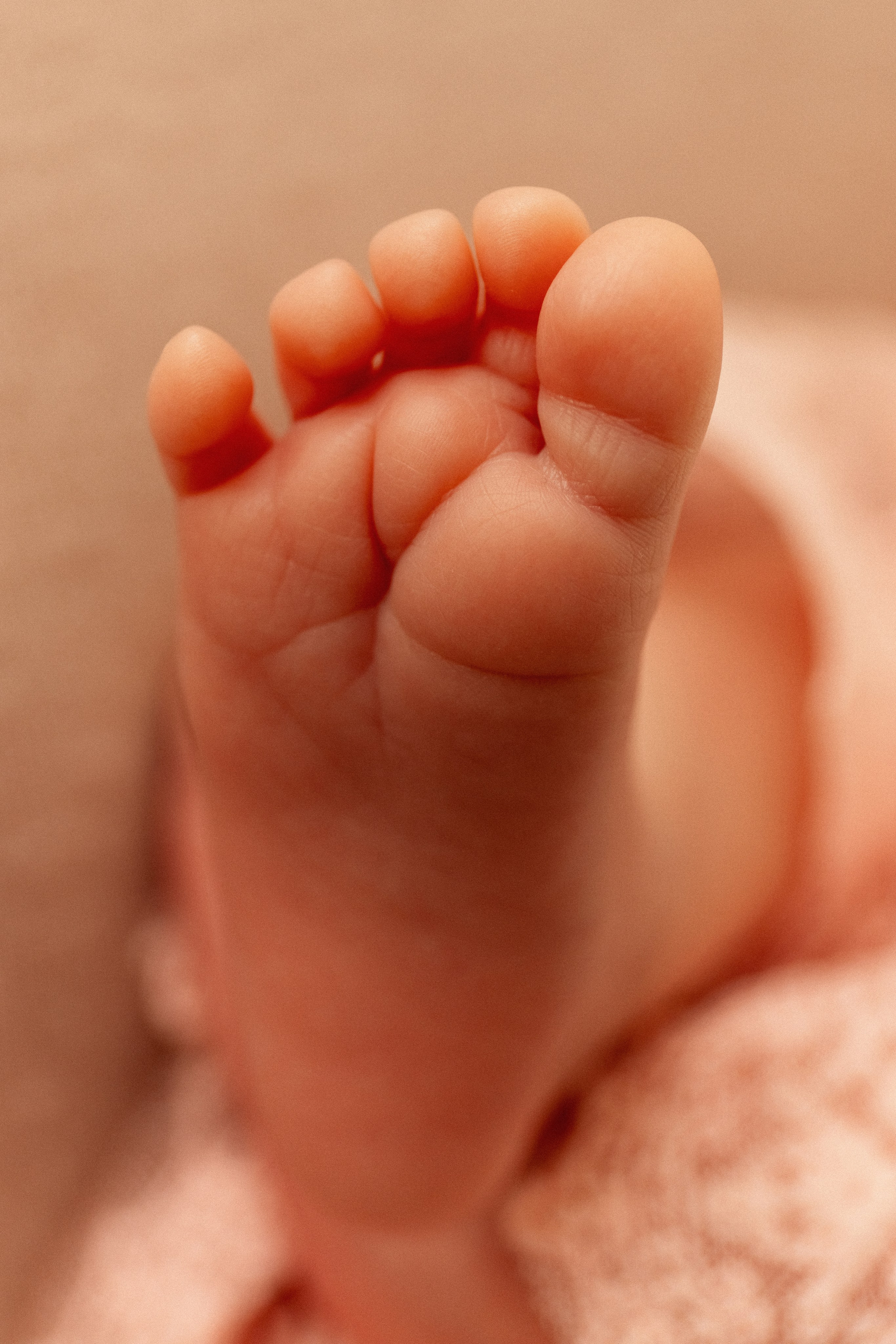 Фотосессия новорожденных в Мурманске, фотограф новорожденных. Мария Махинина — фотограф в Мурманске и Североморске