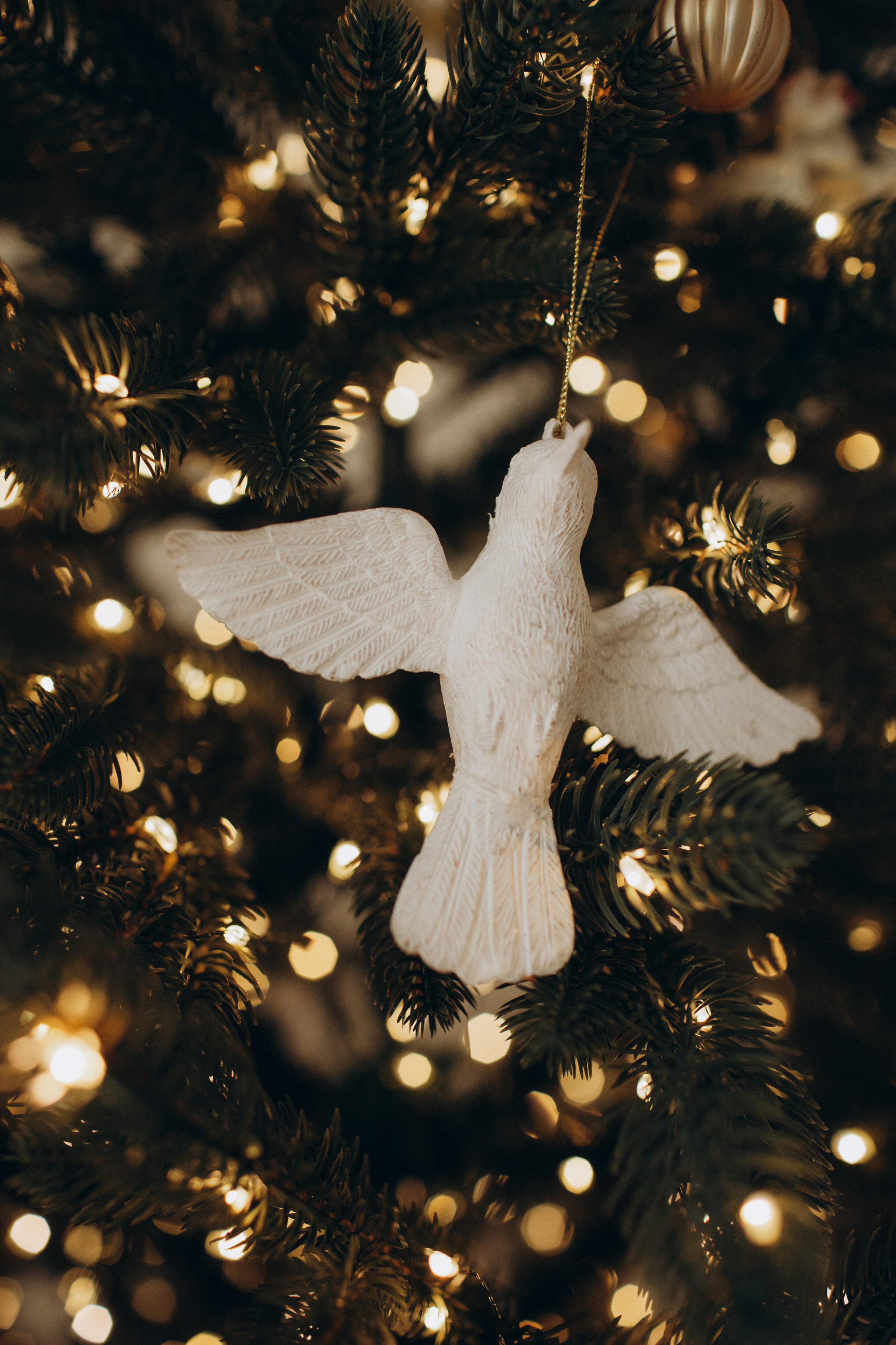 В ожидании праздника. Семейный фотограф в Челябинске Ксения Зубкова