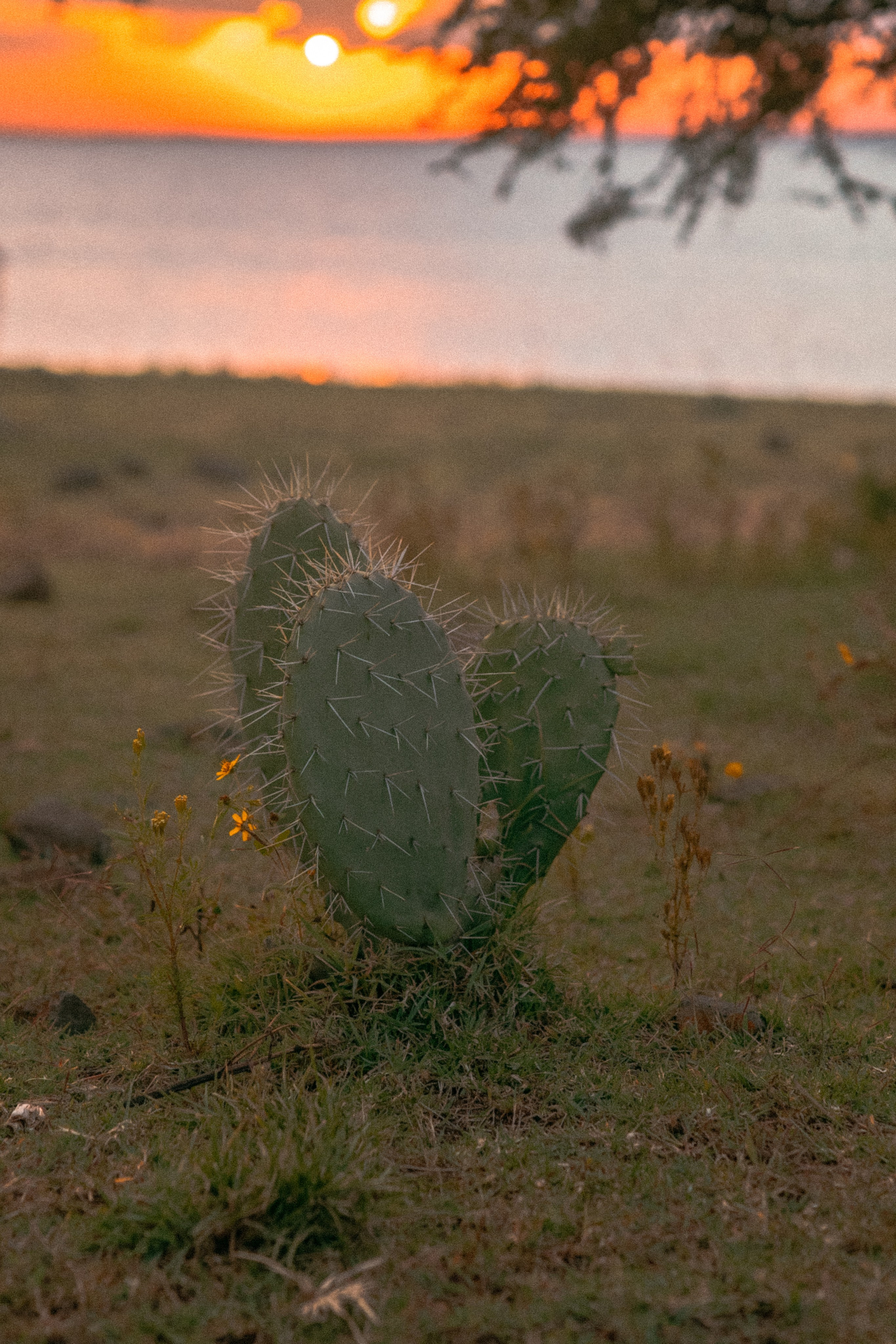 Плато жизни: Эфиопское нагорье. Юля Дэй • Фотограф, Санкт-Петербург