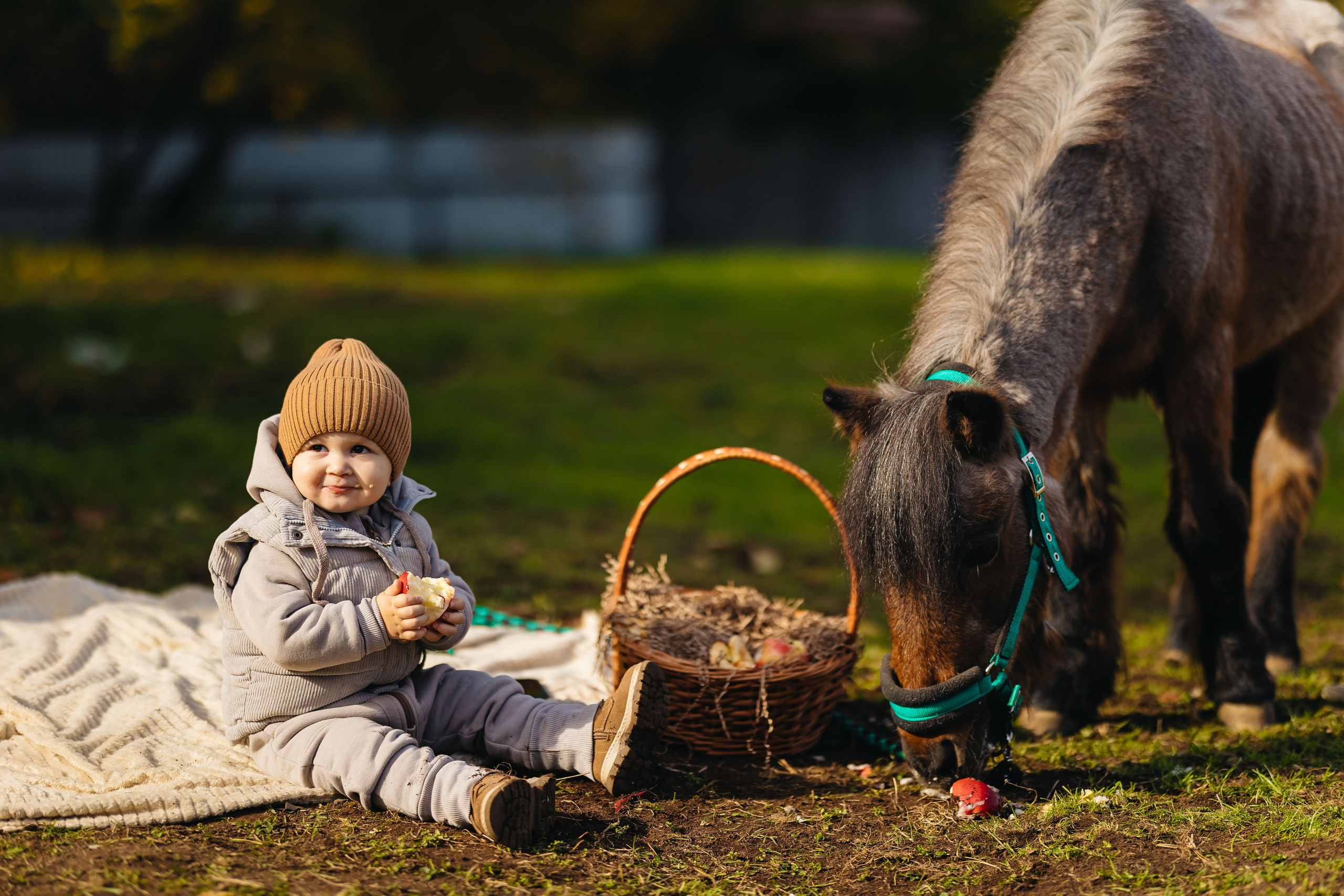 2024.10.02 Илья и лошадка. Ирина Бешляга. Фотограф в Москве и по всей России