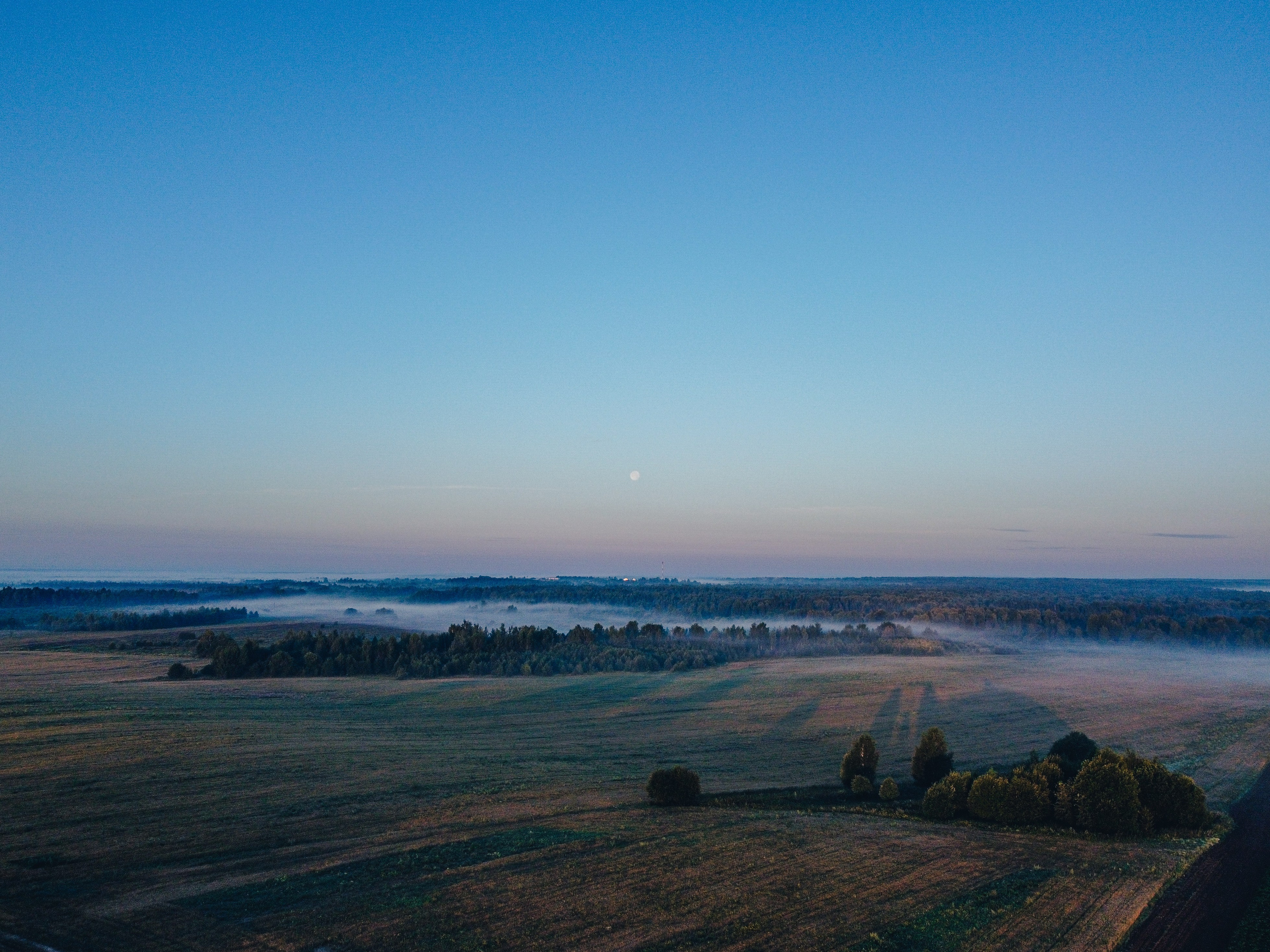 Поле, ранее утро, рассвет, туман