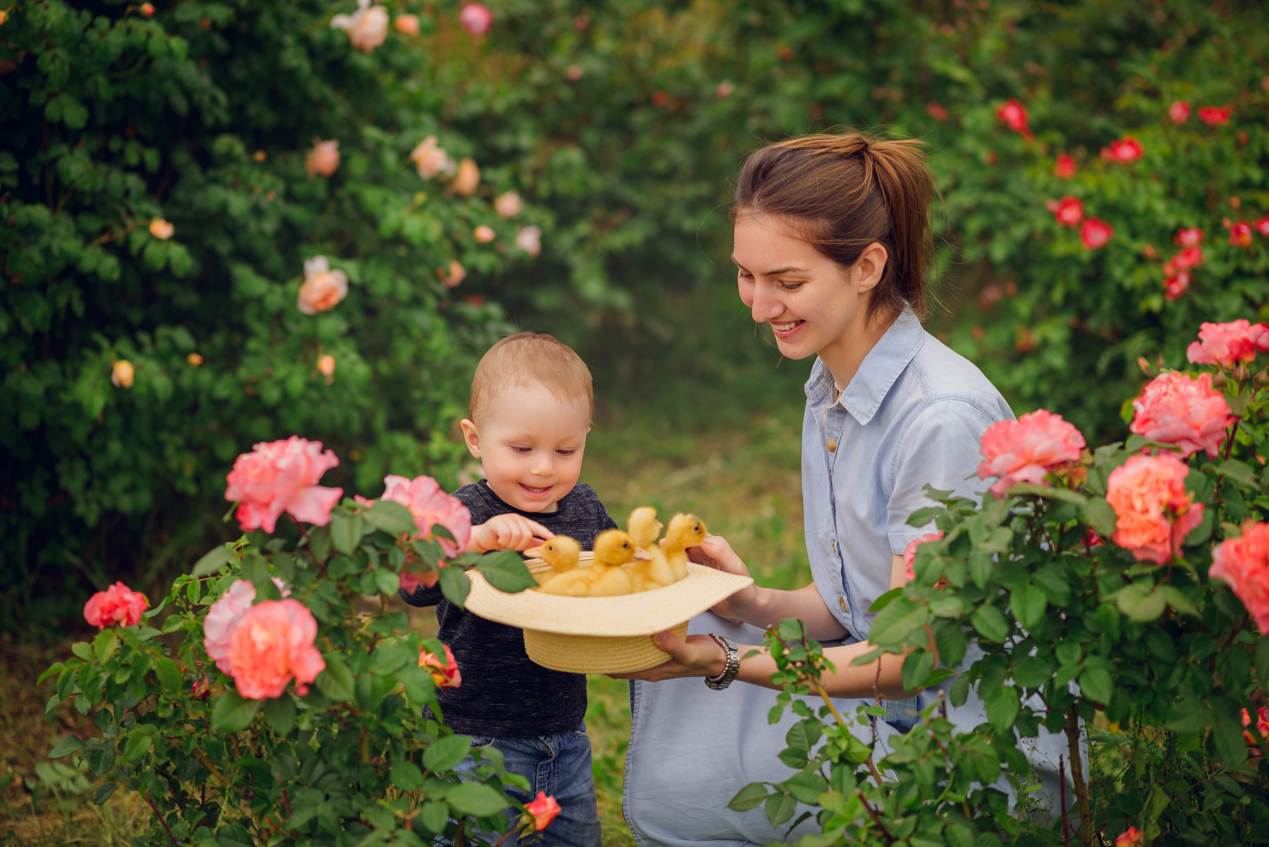 В розах. Семейный фотограф в Краснодаре