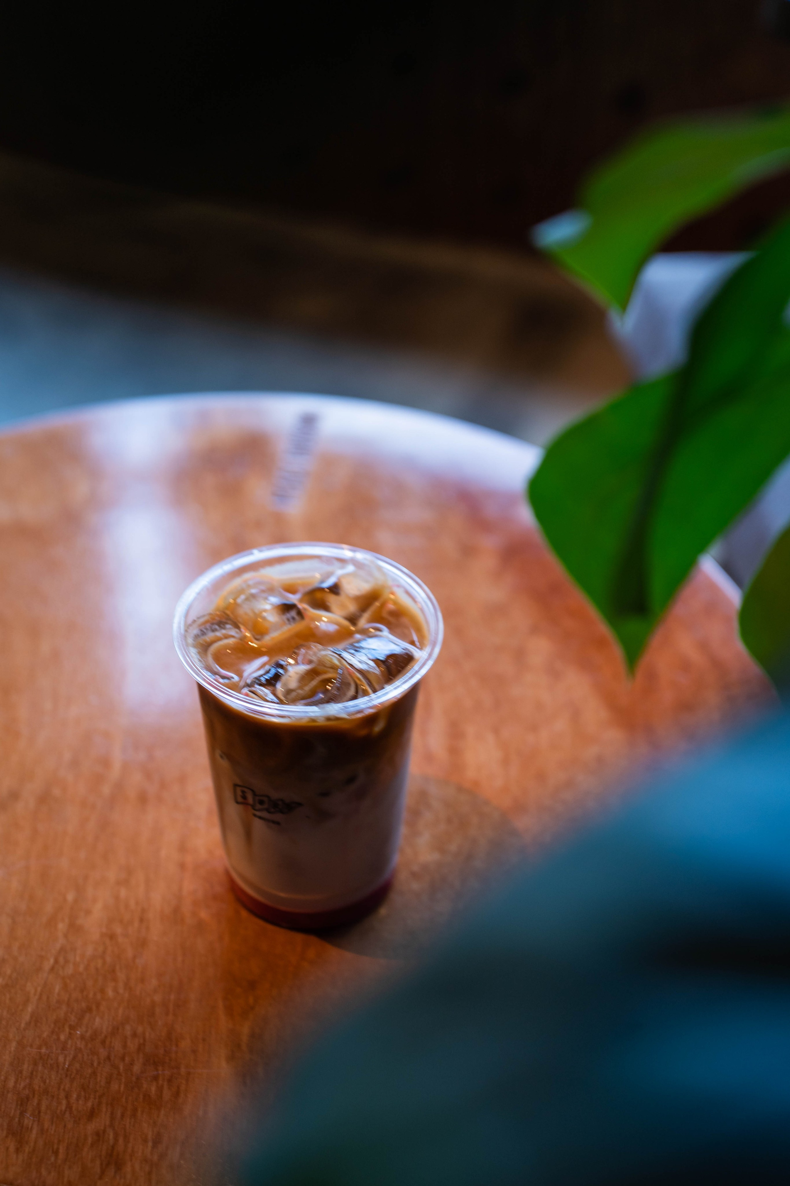 SURF COFFEE| DAY. Фотограф Абакумова Анастасия