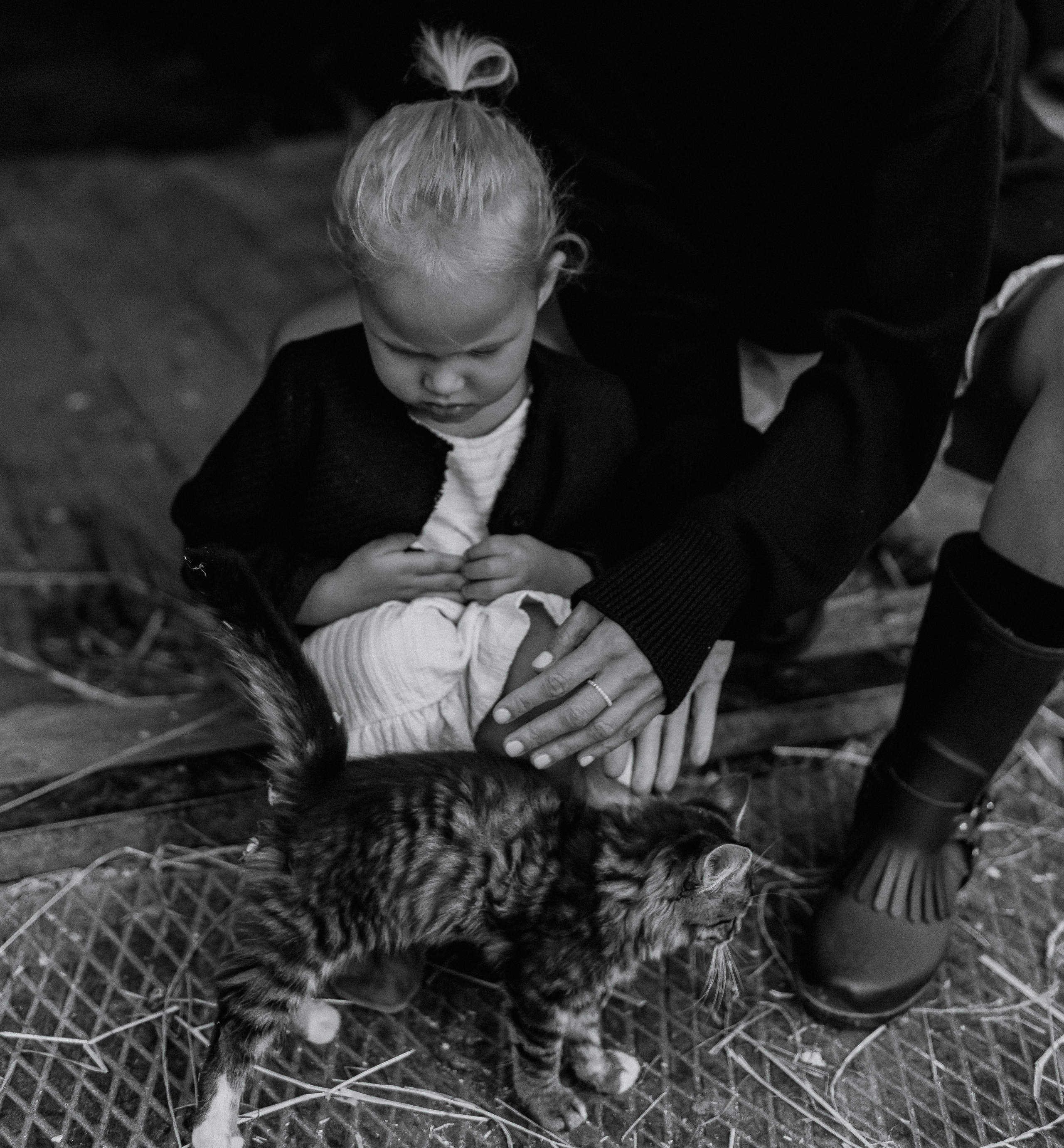 Альбом 4. Фотограф Москва