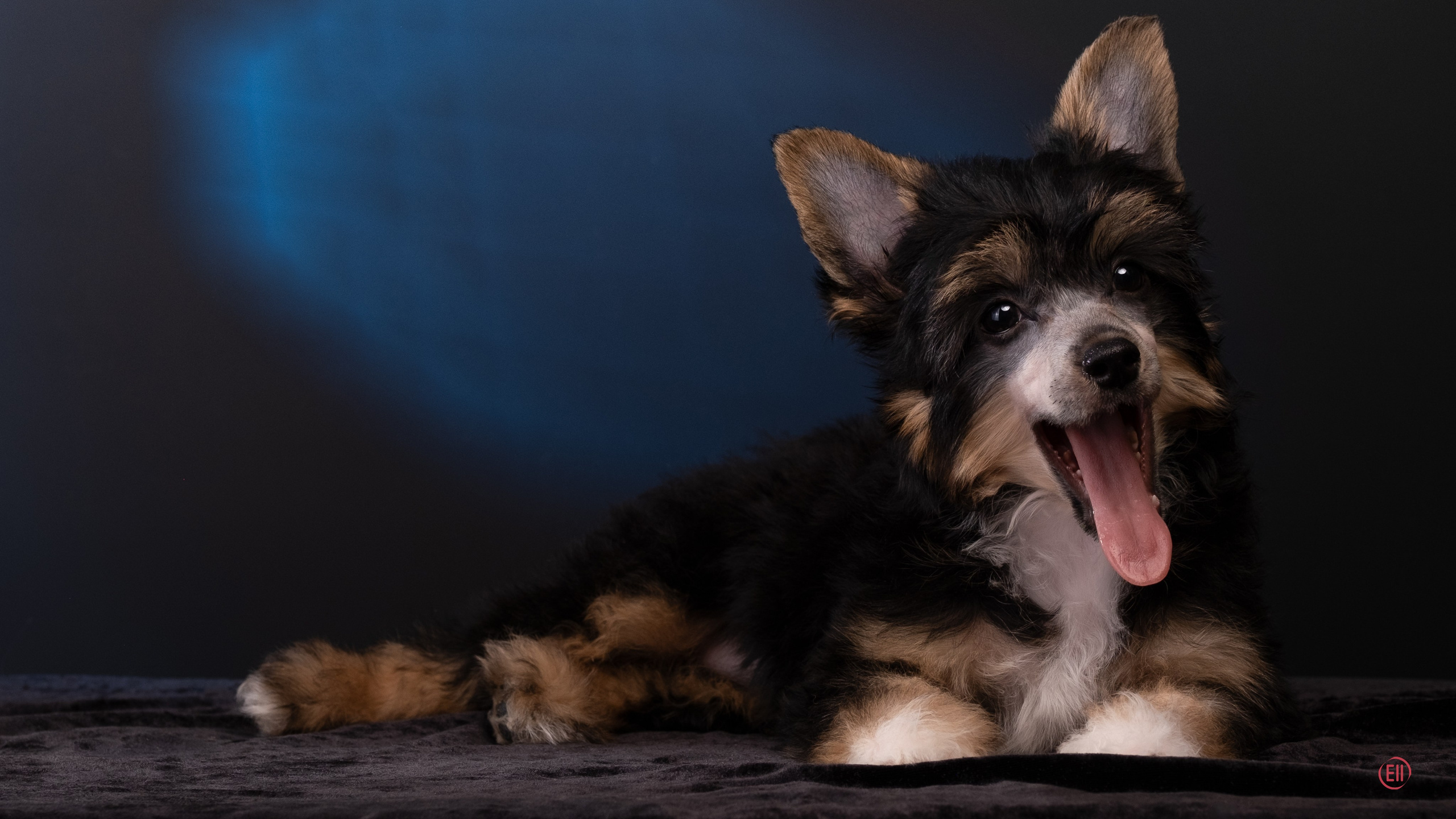 07.06.2025 Синяя фотосессия. Фотограф в Москве