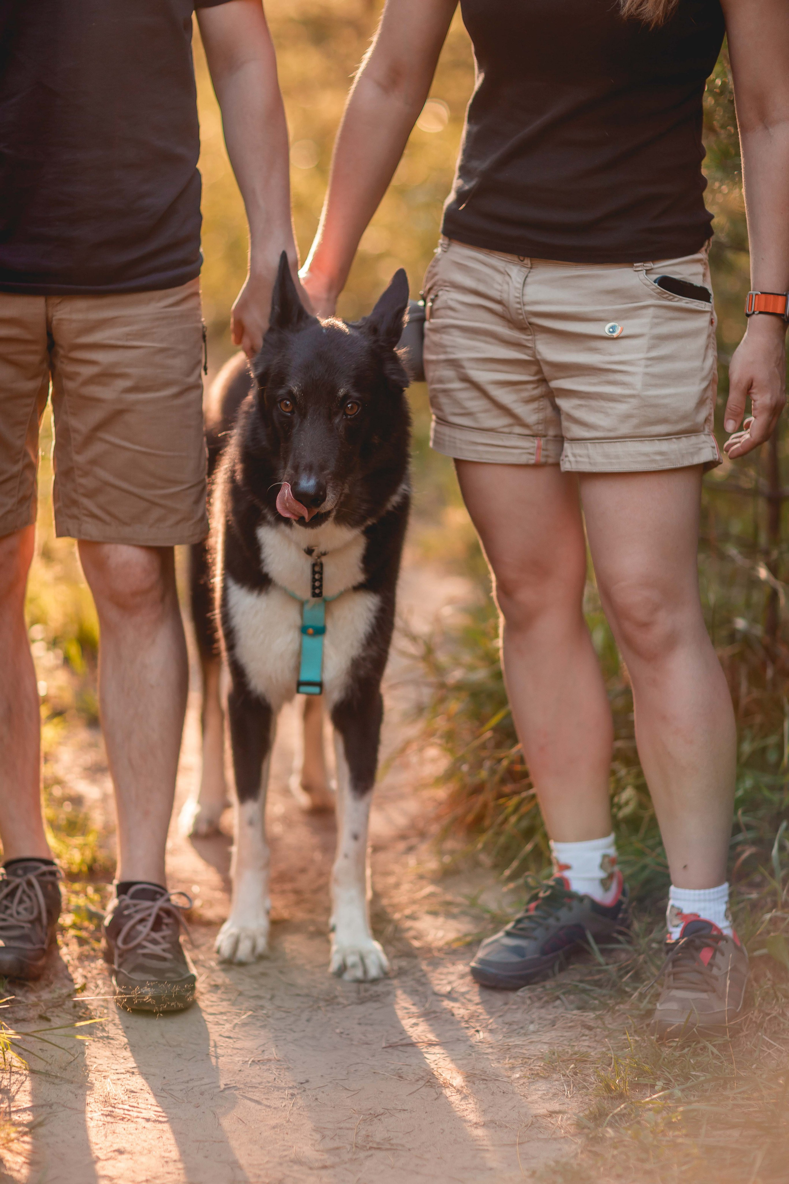 Космос и его люди. Семейный фотограф анималист Мария Крючкова