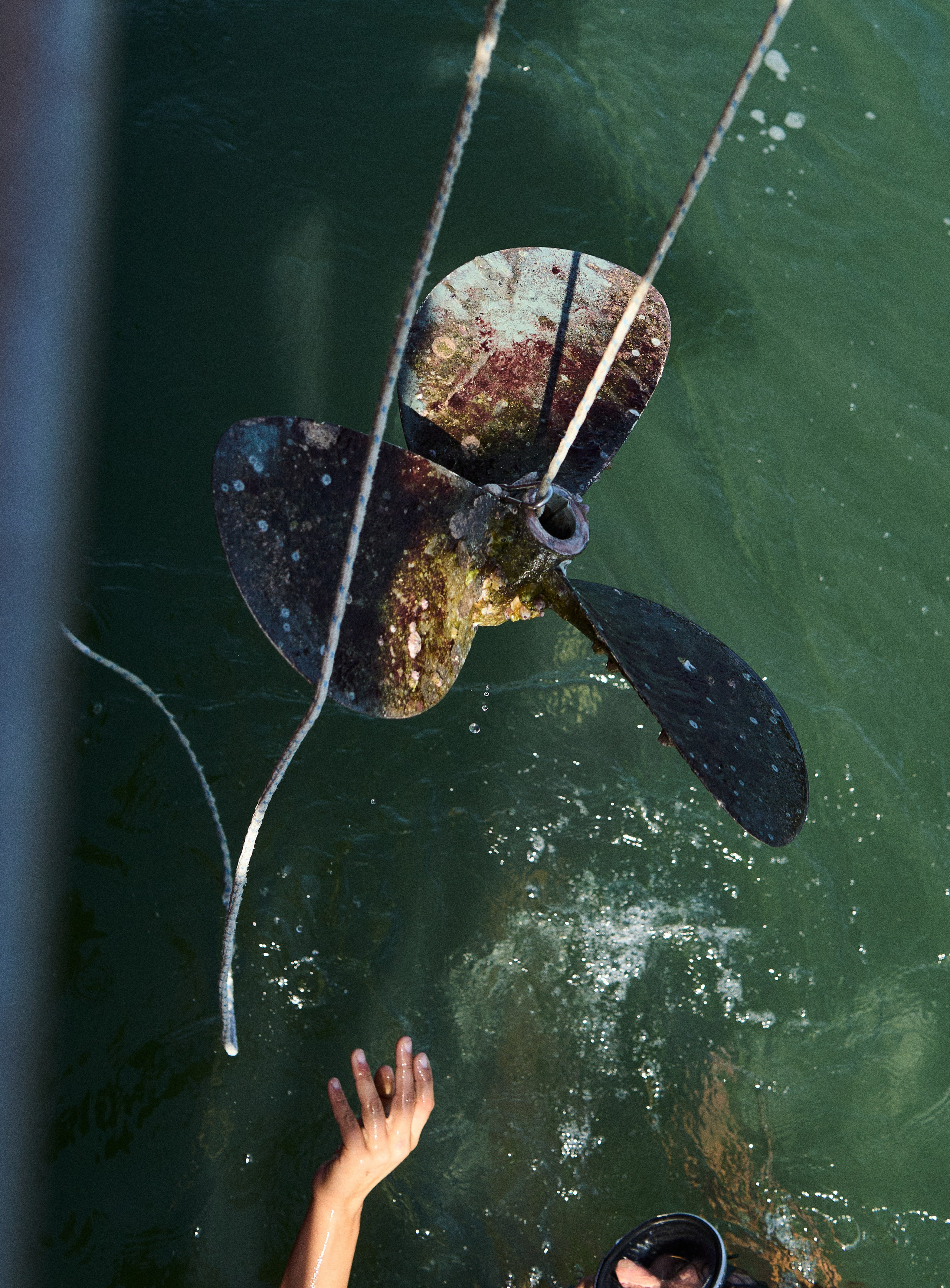 Morocco-Gambia. See the moment and catche. commercial and reportage