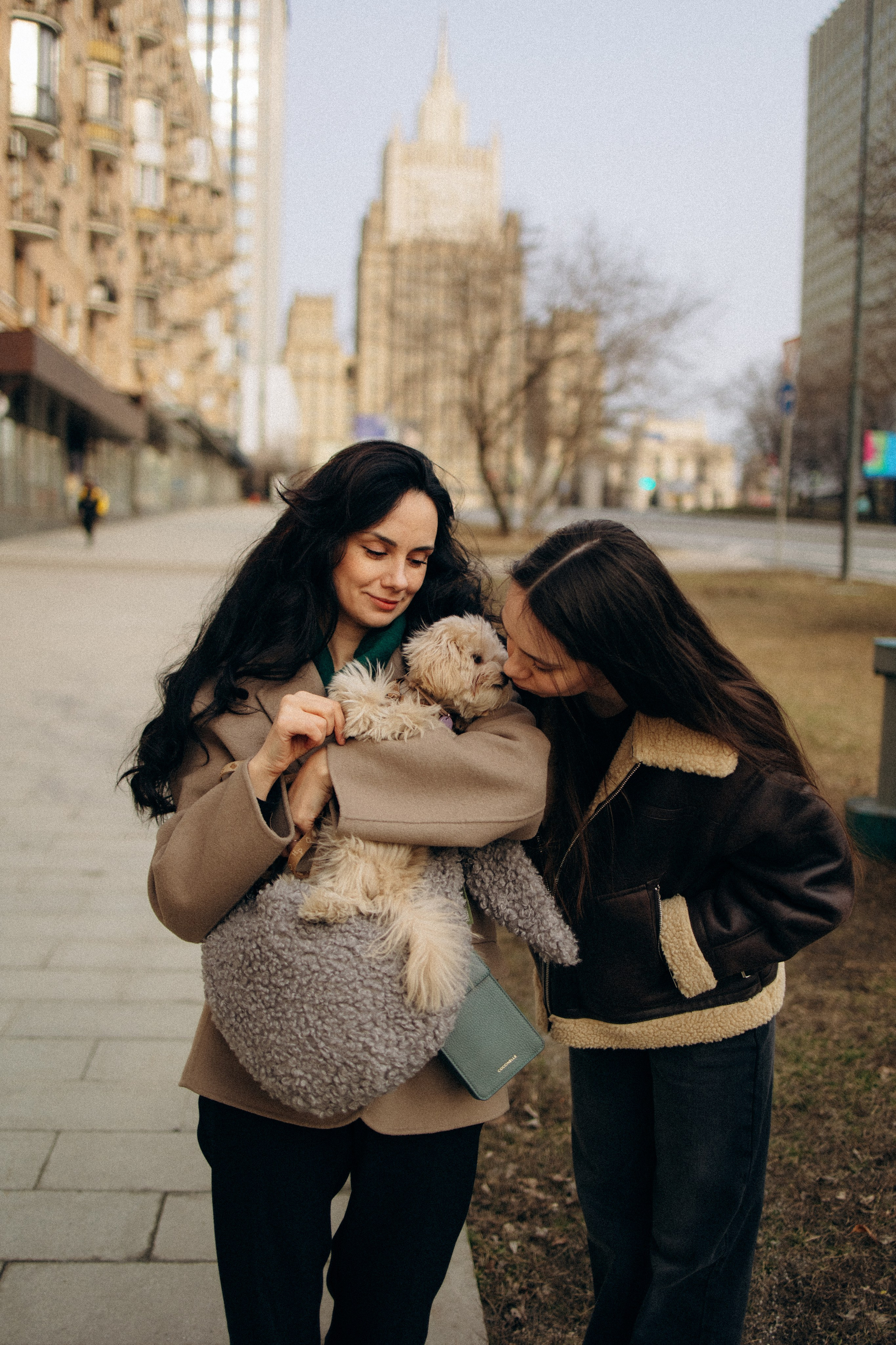 Маша, Лиза и Луна. Фотораф — анималист Мария Шистка