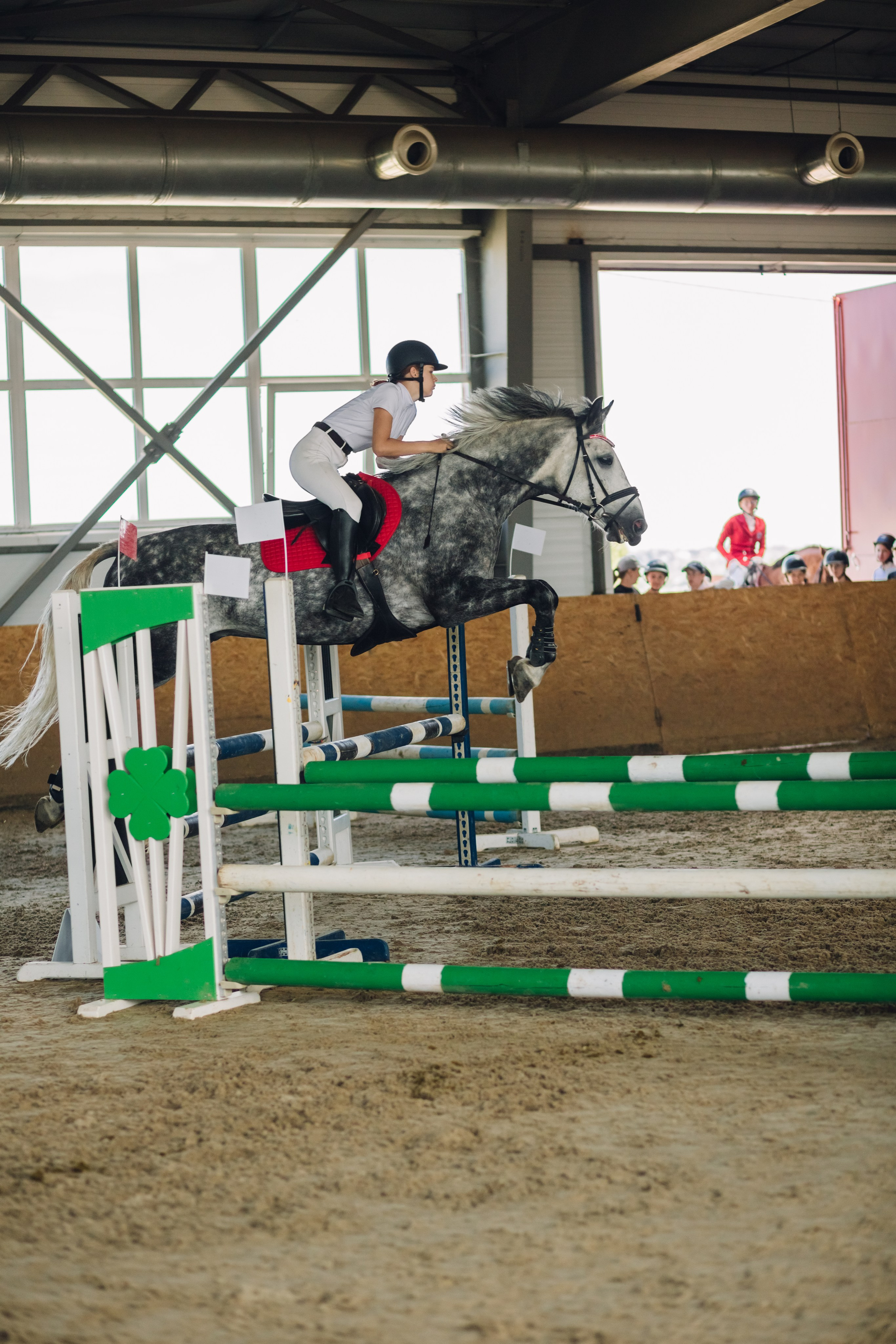 Соревнования. Ольга Белова. Портреты с лошадьми. Конная фотография