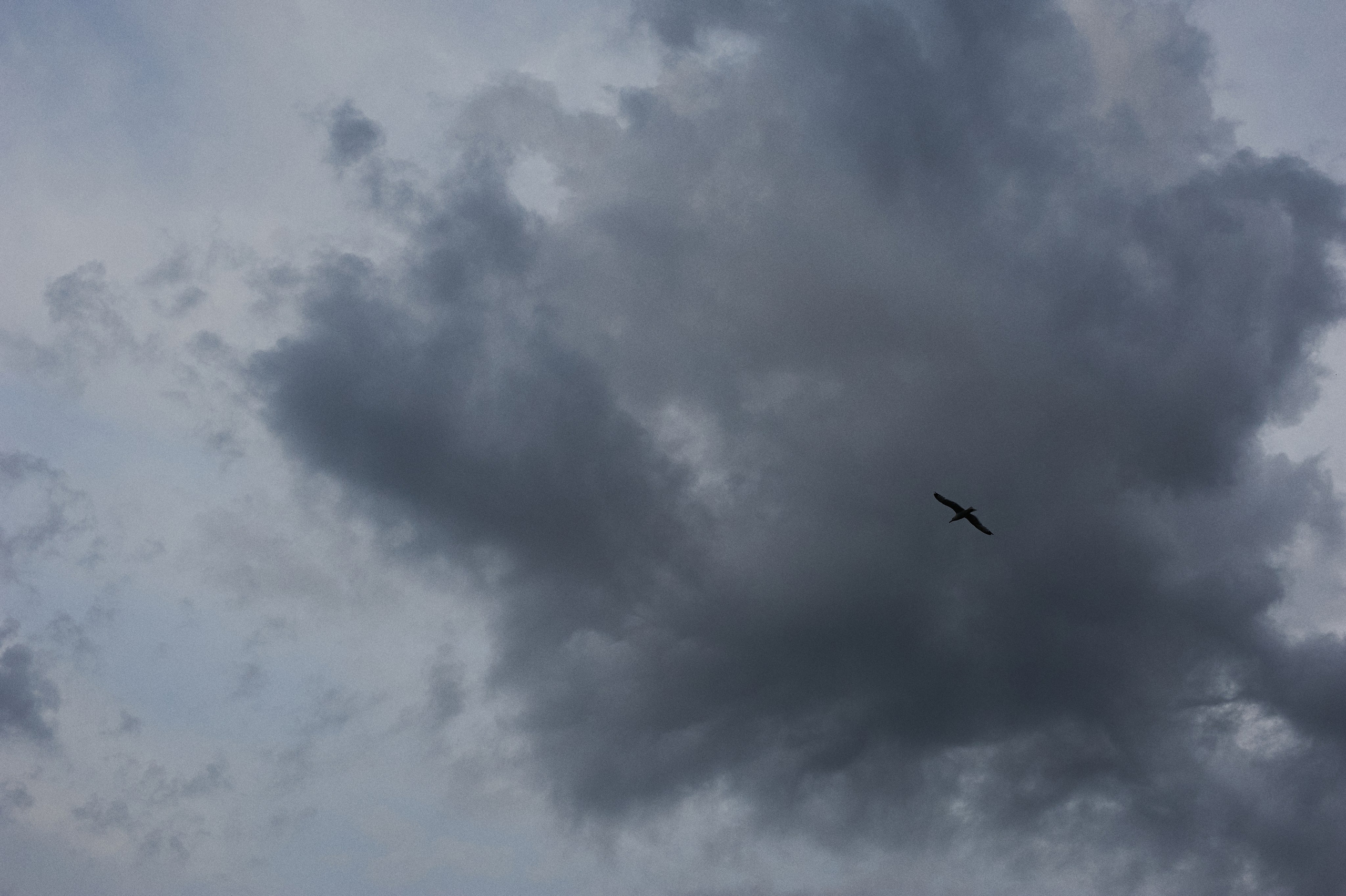 Алёна. Портретный фотограф в Воронеже Вячеслав Буряк