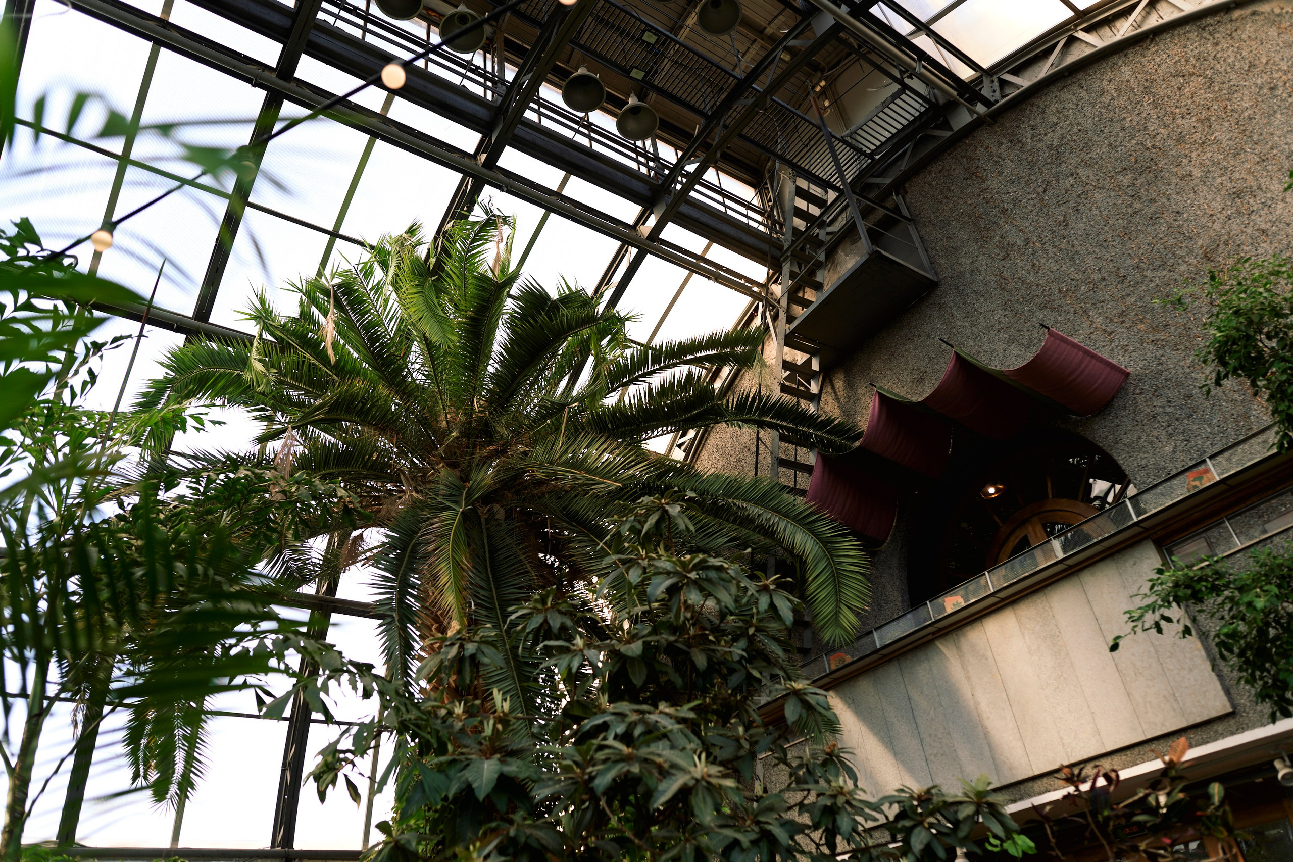 ≫ PHOTOGRAPHY. Photographer — ERASTOV