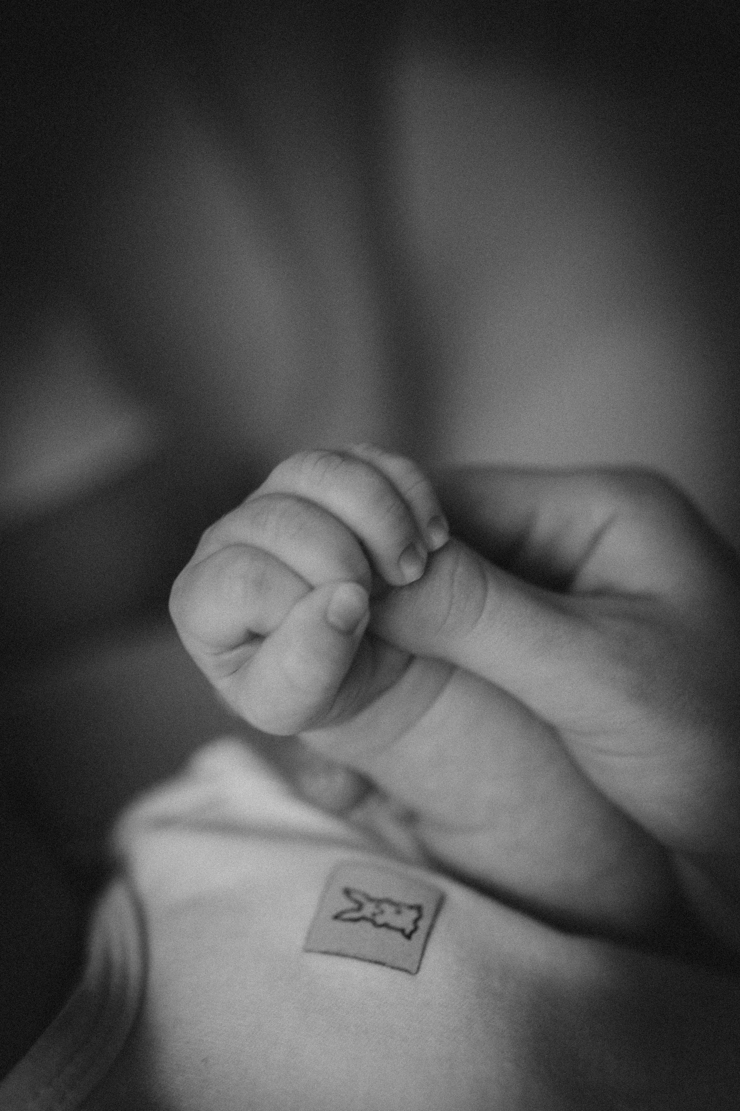 Ира, Вадим и Костя. Семейный фотограф и фотограф на роды в Ростове-на-Дону Мухина Виктория