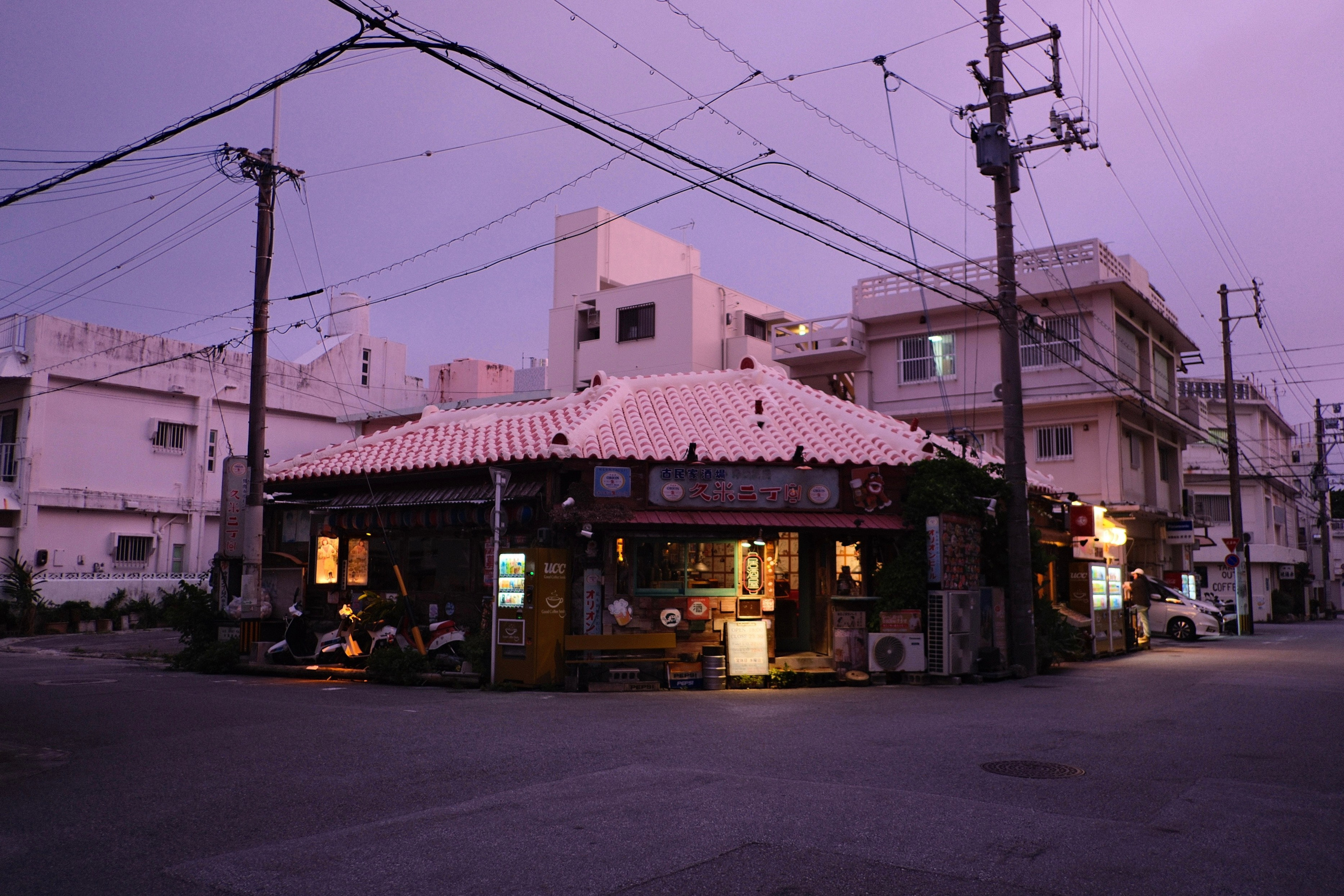 Japan 2026. Фотограф в Москве Daria Lens