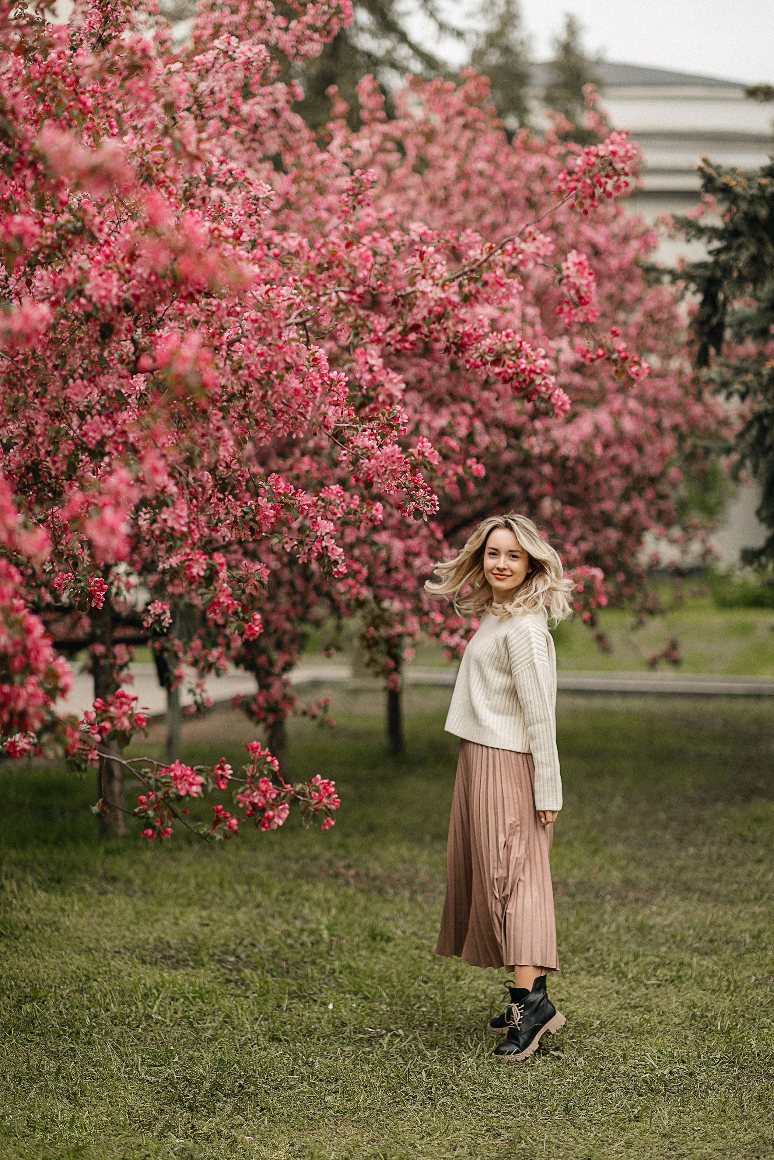 Розовые яблони. Фотограф Москва