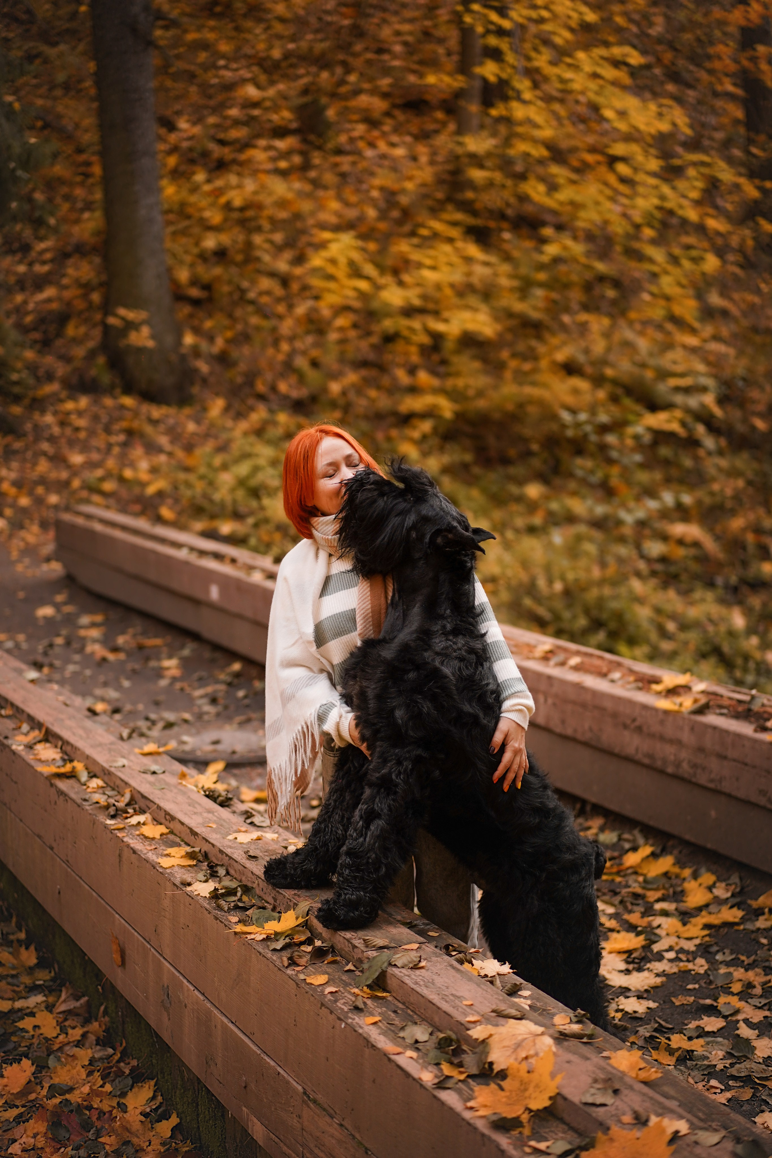 Оля Миша и шнауцеры. Фотограф-анималист в Санкт-Петербурге Яна Мартынова