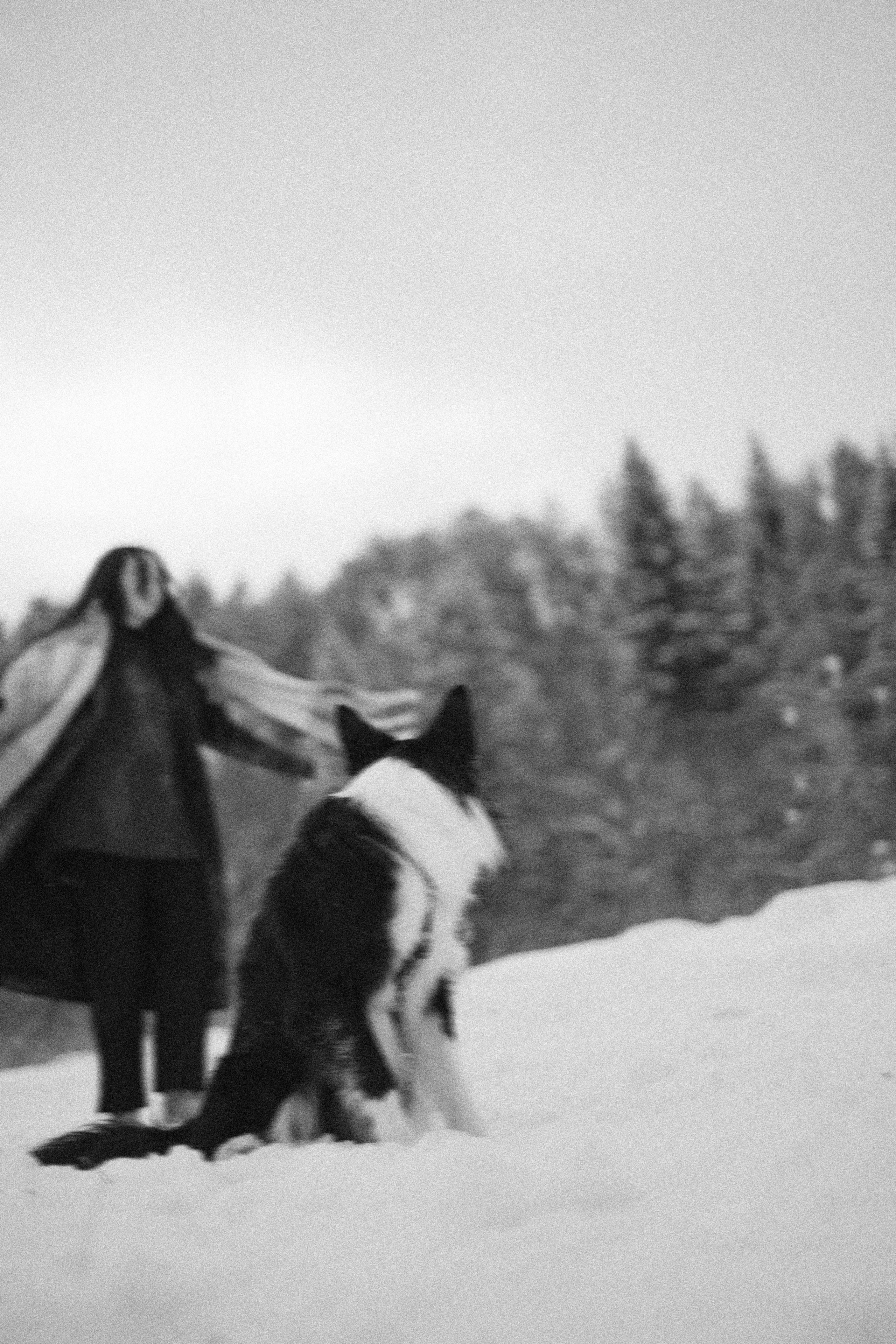 Алина и Найт. Фотограф-анималист Богданова Полина