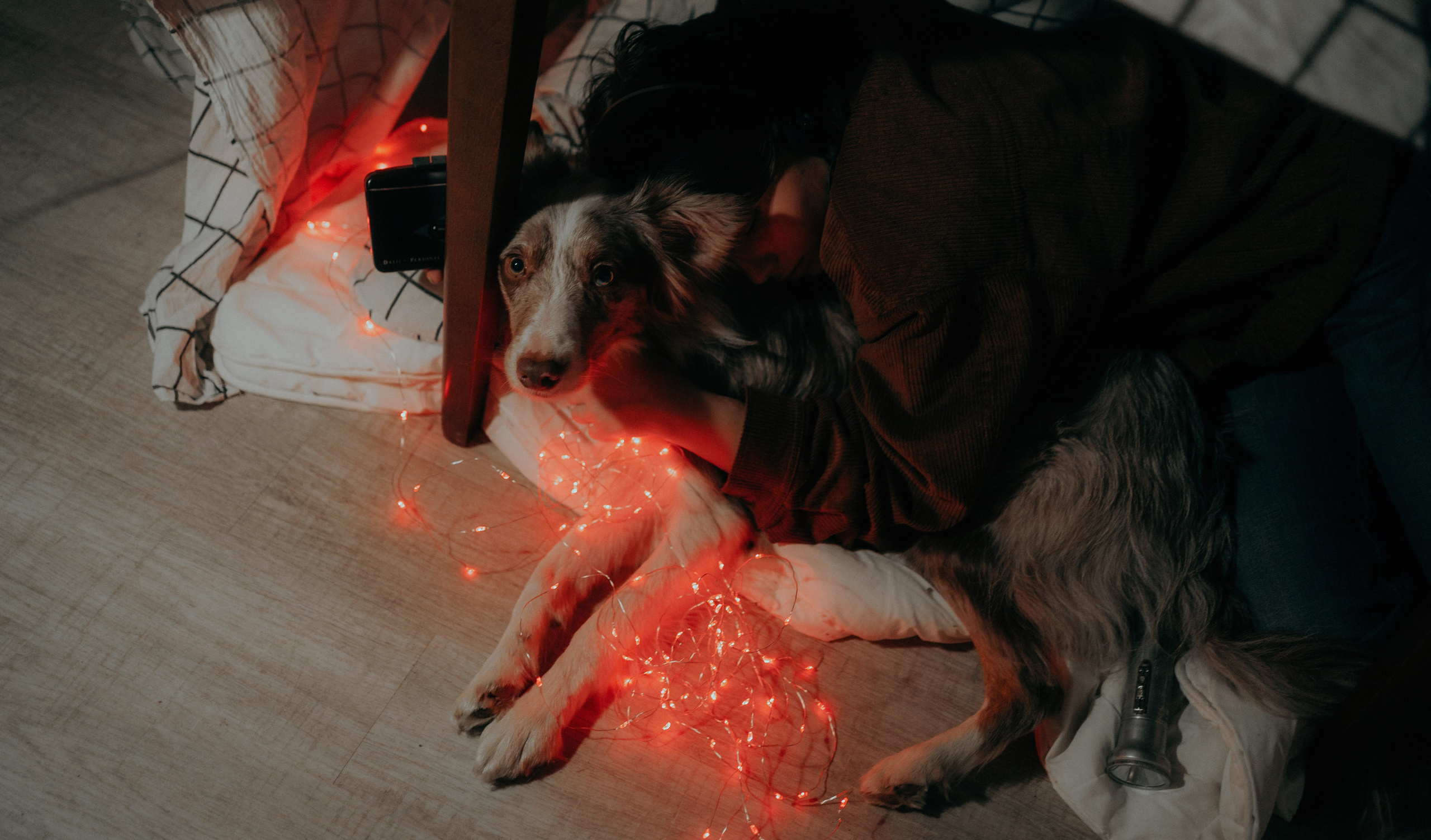 Аня и Дэймон. Фотограф-анималист Богданова Полина